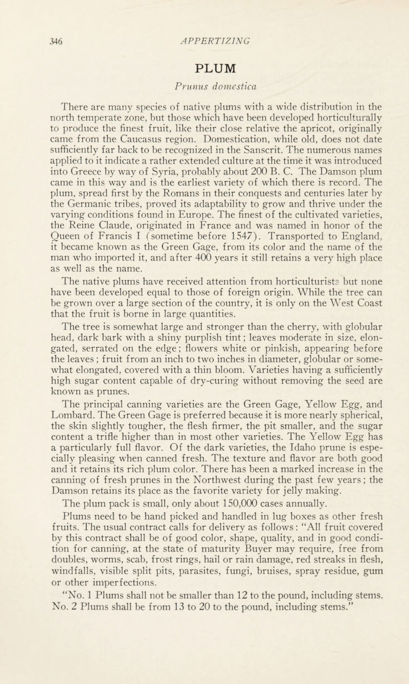 PLUM Primus donicstica There are many species of native plums with a wide distribution in the north temperate zone, but those which have been developed horticulturally to produce the finest fruit, like their close relative the apricot, originally came from the Caucasus region. Domestication, while old, does not date sufficiently far back to be recognized in the Sanscrit. The numerous names applied to it indicate a rather extended culture at the time it was introduced into Greece by way of Syria, probably about 200 B. C. The Damson plum came in this way and is the earliest variety of which there is record. The plum, spread first by the Romans in their conquests and centuries later by the Germanic tribes, proved its adaptability to grow and thrive under the varying conditions found in Europe. The finest of the cultivated varieties, the Reine Claude, originated in France and was named in honor of the Queen of Francis I (sometime before 1547). Transported to England, it became known as the Green Gage, from its color and the name of the man who imported it, and after 400 years it still retains a very high place as well as the name. The native plums have received attention from horticulturists but none have been developed equal to those of foreign origin. While the tree can be grown over a large section of the country, it is only on the West Coast that the fruit is borne in large quantities. The tree is somewhat large and stronger than the cherry, with globular head, dark bark with a shiny purplish tint; leaves moderate in size, elon¬ gated, serrated on the edge; flowers white or pinkish, appearing before the leaves ; fruit from an inch to two inches in diameter, globular or some¬ what elongated, covered with a thin bloom. Varieties having a sufficiently high sugar content capable of dry-curing without removing the seed are known as prunes. The principal canning varieties are the Green Gage, Yellow Egg, and Lombard. The Green Gage is preferred because it is more nearly spherical, the skin slightly tougher, the flesh firmer, the pit smaller, and the sugar content a trifle higher than in most other varieties. The Yellow Egg has a particularly full flavor. Of the dark varieties, the Idaho prune is espe¬ cially pleasing when canned fresh. The texture and flavor are both good and it retains its rich plum color. There has been a marked increase in the canning of fresh prunes in the Northwest during the past few years; the Damson retains its place as the favorite variety for jelly making. The plum pack is small, only about 150,000 cases annually. Plums need to be hand picked and handled in lug boxes as other fresh fruits. The usual contract calls for delivery as follows: “All fruit covered by this contract shall be of good color, shape, quality, and in good condi¬ tion for canning, at the state of maturity Buyer may require, free from doubles, worms, scab, frost rings, hail or rain damage, red streaks in flesh, windfalls, visible split pits, parasites, fungi, bruises, spray residue, gum or other imperfections. “No. 1 Plums shall not be smaller than 12 to the pound, including stems. No. 2 Plums shall be from 13 to 20 to the pound, including stems.”