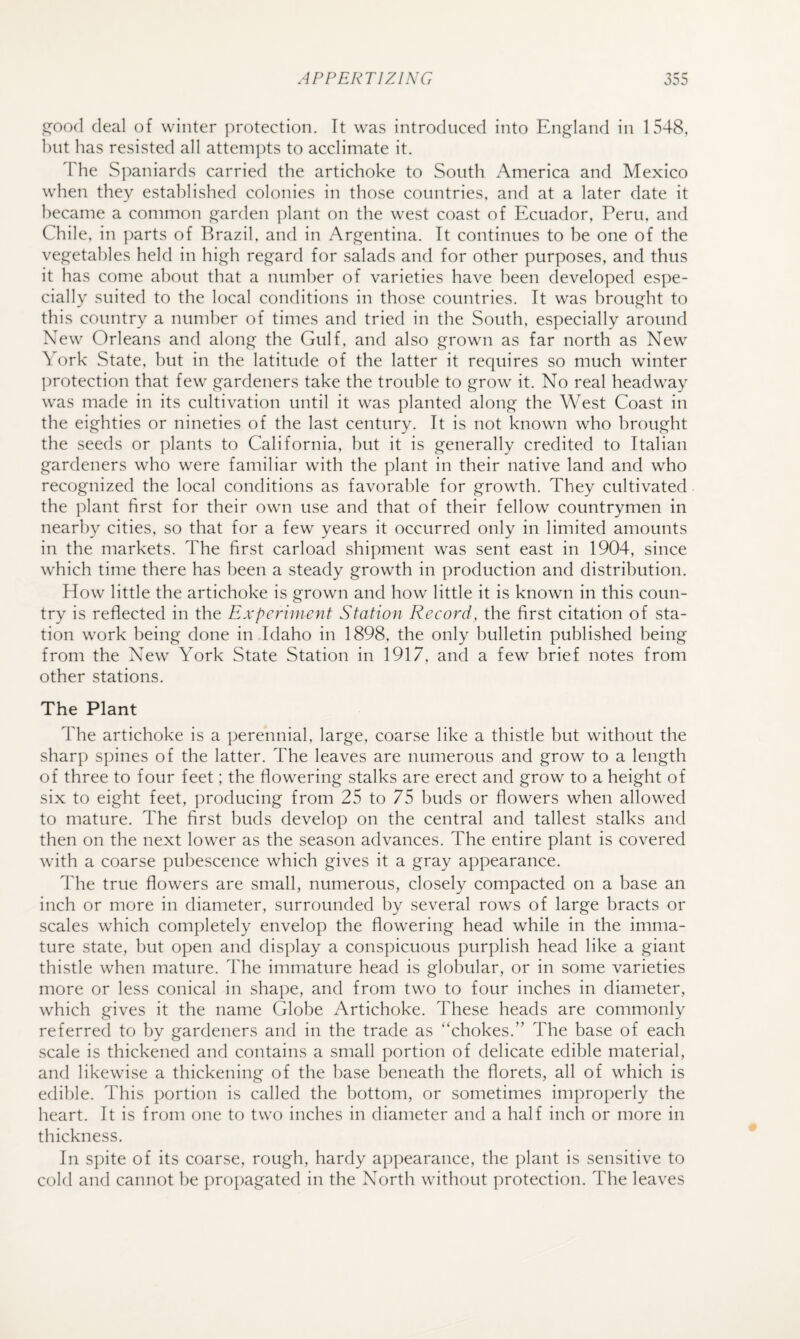 iGi’ood (leal of winter protection. Tt w'as introduced into England in 1548, but has resisted all attempts to acclimate it. The Spaniards carried the artichoke to South America and Mexico wdien they established colonies in those countries, and at a later date it became a common garden plant on the w'est coast of Ecuador, Peru, and Chile, in ])arts of Brazil, and in Argentina. It continues to be one of the vegetables held in high regard for salads and for other purposes, and thus it has come about that a number of varieties have been developed espe¬ cially suited to the local conditions in those countries. It was brought to this country a number of times and tried in the South, especially around New Orleans and along the Gulf, and also growm as far north as New York State, but in the latitude of the latter it requires so much winter ])rotection that few' gardeners take the trouble to grow it. No real headw^ay w^as made in its cultivation until it was planted along the West Coast in the eighties or nineties of the last century. It is not known who brought the seeds or plants to California, but it is generally credited to Italian gardeners who were familiar with the plant in their native land and who recognized the local conditions as favorable for growth. They cultivated the plant first for their own use and that of their fellow countrymen in nearby cities, so that for a few years it occurred only in limited amounts in the markets. The first carload shipment was sent east in 1904, since which time there has been a steady growth in production and distribution. How little the artichoke is grown and how little it is known in this coun¬ try is reflected in the Experiment Station Reeord, the first citation of sta¬ tion w^ork being done in Idaho in 1898, the only bulletin published being from the New York State Station in 1917, and a few brief notes from other stations. The Plant The artichoke is a perennial, large, coarse like a thistle but without the sharp spines of the latter. The leaves are numerous and grow to a length of three to four feet; the flowering stalks are erect and grow to a height of six to eight feet, producing from 25 to 75 buds or flowers when allowed to mature. The first buds develop on the central and tallest stalks and then on the next lower as the season advances. The entire plant is covered with a coarse pubescence which gives it a gray appearance. The true flowers are small, numerous, closely compacted on a base an inch or more in diameter, surrounded by several rows of large bracts or scales which completely envelop the flowering head while in the imma¬ ture state, but open and display a conspicuous purplish head like a giant thistle when mature. The immature head is globular, or in some varieties more or less conical in shape, and from two to four inches in diameter, which gives it the name Globe Artichoke. These heads are commonly referred to by gardeners and in the trade as “chokes.” The base of each scale is thickened and contains a small portion of delicate edible material, and likewise a thickening of the base beneath the florets, all of which is edible. This portion is called the bottom, or sometimes improperly the heart. It is from one to two inches in diameter and a half inch or more in thickness. In spite of its coarse, rough, hardy appearance, the plant is sensitive to cold and cannot be pnjpagated in the North without protection. The leaves