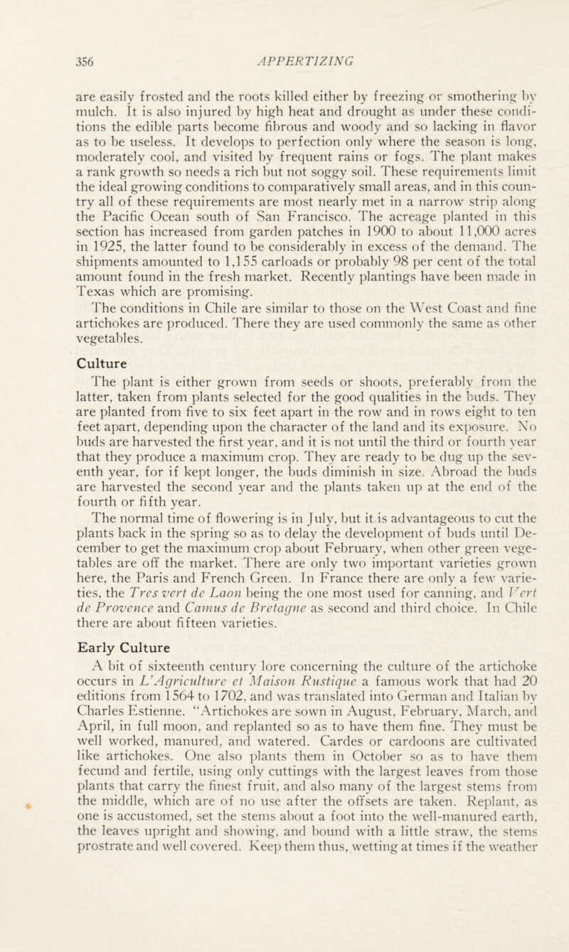 are easily frosted and the roots killed either by freezinj^ or smotherin£( hy mulch. It is also injured hy high heat and drought as under these condi¬ tions the edible parts become fibrous and woody and so lacking in flavor as to be useless. It develops to perfection only where the season is long, moderately cool, and visited hy frequent rains or fogs. The plant makes a rank growth so needs a rich hut not soggy soil. These requirements limit the ideal growing conditions to comparatively small areas, and in this coun¬ try all of these requirements are most nearly met in a narrow strip along the Pacific Ocean south of San Francisco. The acreage i)lanted in this section has increased from garden patches in 1900 to about 11,000 acres in 1925, the latter found to be considerably in excess of the demand. The shipments amounted to 1,155 carloads or probably 98 per cent of the total amount found in the fresh market. Recently plantings have been made in Texas which are promising. The conditions in Chile are similar to those on the West Coast and fine artichokes are produced. There they are used commonly the same as other vegetables. Culture The plant is either grown from seeds or shoots, preferably from the latter, taken from plants selected for the good qualities in the buds. They are planted from five to six feet apart in the row and in rows eight to ten feet apart, depending upon the character of the land and its exposure. No buds are harvested the first year, and it is not until the third or fourth year that they produce a maximum crop. They are ready to be dug up the sev¬ enth year, for if kept longer, the buds diminish in size. Abroad the buds are harvested the second year and the plants taken up at the end of the fourth or fifth year. The normal time of flowering is in July, but it is advantageous to cut the plants back in the spring so as to delay the development of buds until De¬ cember to get the maximum crop about February, when other green vege¬ tables are off the market. There are only two important varieties grown here, the Paris and French Green. In France there are only a few varie¬ ties, the Ti'cs vert dc Laon being the one most used for canning, and J^crt dc Provence and Cantus dc Bretagne as second and third choice. In Chile there are about fifteen varieties. Early Culture A bit of sixteenth century lore concerning the culture of the artichoke occurs in L'Agriculture et Maison Rustiquc a famous work that had 20 editions from 1564 to 1702, and was translated into German and Italian hy Charles Estienne. “Artichokes are sown in August, February, March, and April, in full moon, and replanted so as to have them fine. They must be well worked, manured, and watered. Cardes or cardoons are cultivated like artichokes. One also plants them in October so as to have them fecund and fertile, using only cuttings with the largest leaves from those plants that carry the finest fruit, and also many of the largest stems from the middle, which are of no use after the offsets are taken. Replant, as one is accustomed, set the stems about a foot into the well-manured earth, the leaves u])right and showing, and hound with a little straw, the stems prostrate and well covered. Kee]) them thus, wetting at times if the weather
