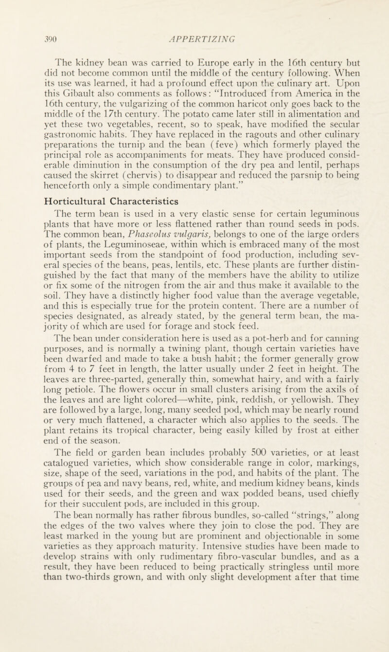 The kidney l)ean was carried to Europe early in the 16th century but did not become common until the middle of the century following. When its use was learned, it had a profound effect upon the culinary art. LIpon this Gibault also comments as follows: “Introduced from America in the 16th century, the vulgarizing of the common haricot only goes back to the middle of the 17th century. The potato came later still in alimentation and yet these two vegetables, recent, so to speak, have modified the secular gastronomic habits. They have replaced in the ragouts and other culinary preparations the turnip and the bean (feve) which formerly played the principal role as accompaniments for meats. They have produced consid¬ erable diminution in the consumption of the dry pea and lentil, perhaps caused the skirret (chervis) to disappear and reduced the parsnip to being henceforth only a simple condimentary plant.” Horticultural Characteristics The term bean is used in a very elastic sense for certain leguminous plants that have more or less flattened rather than round seeds in pods. The common bean, Phaseoliis vulgaris, belongs to one of the large orders of plants, the Leguminoseae, within which is embraced many of the most important seeds from the standpoint of food production, including sev¬ eral species of the beans, peas, lentils, etc. These plants are further distin¬ guished by the fact that many of the members have the ability to utilize or fix some of the nitrogen from the air and thus make it available to the soil. They have a distinctly higher food value than the average vegetable, and this is especially true for the protein content. There are a number of species designated, as already stated, by the general term bean, the ma¬ jority of which are used for forage and stock feed. The bean under consideration here is used as a pot-herb and for canning purposes, and is normally a twining plant, though certain varieties have been dwarfed and made to take a bush habit; the former generally grow from 4 to 7 feet in length, the latter usually under 2 feet in height. The leaves are three-parted, generally thin, somewhat hairy, and with a fairly long petiole. The flowers occur in small clusters arising from the axils of the leaves and are light colored—white, pink, reddish, or yellowish. They are followed by a large, long, many seeded pod, which may be nearly round or very much flattened, a character which also applies to the seeds. The plant retains its tropical character, being easily killed by frost at either end of the season. The field or garden bean includes probably 500 varieties, or at least catalogued varieties, which show considerable range in color, markings, size, shape of the seed, variations in the pod, and habits of the plant. The groups of pea and navy beans, red, white, and medium kidney beans, kinds used for their seeds, and the green and wax podded beans, used chiefly for their succulent pods, are included in this group. The bean normally has rather fibrous bundles, so-called “strings,” along the edges of the two valves where they join to close the pod. They are least marked in the young but are prominent and objectionable in some varieties as they approach maturity. Intensive studies have been made to develop strains with only rudimentary fibro-vascular bundles, and as a result, they have been reduced to being practically stringless until more than two-thirds grown, and with only slight development after that time