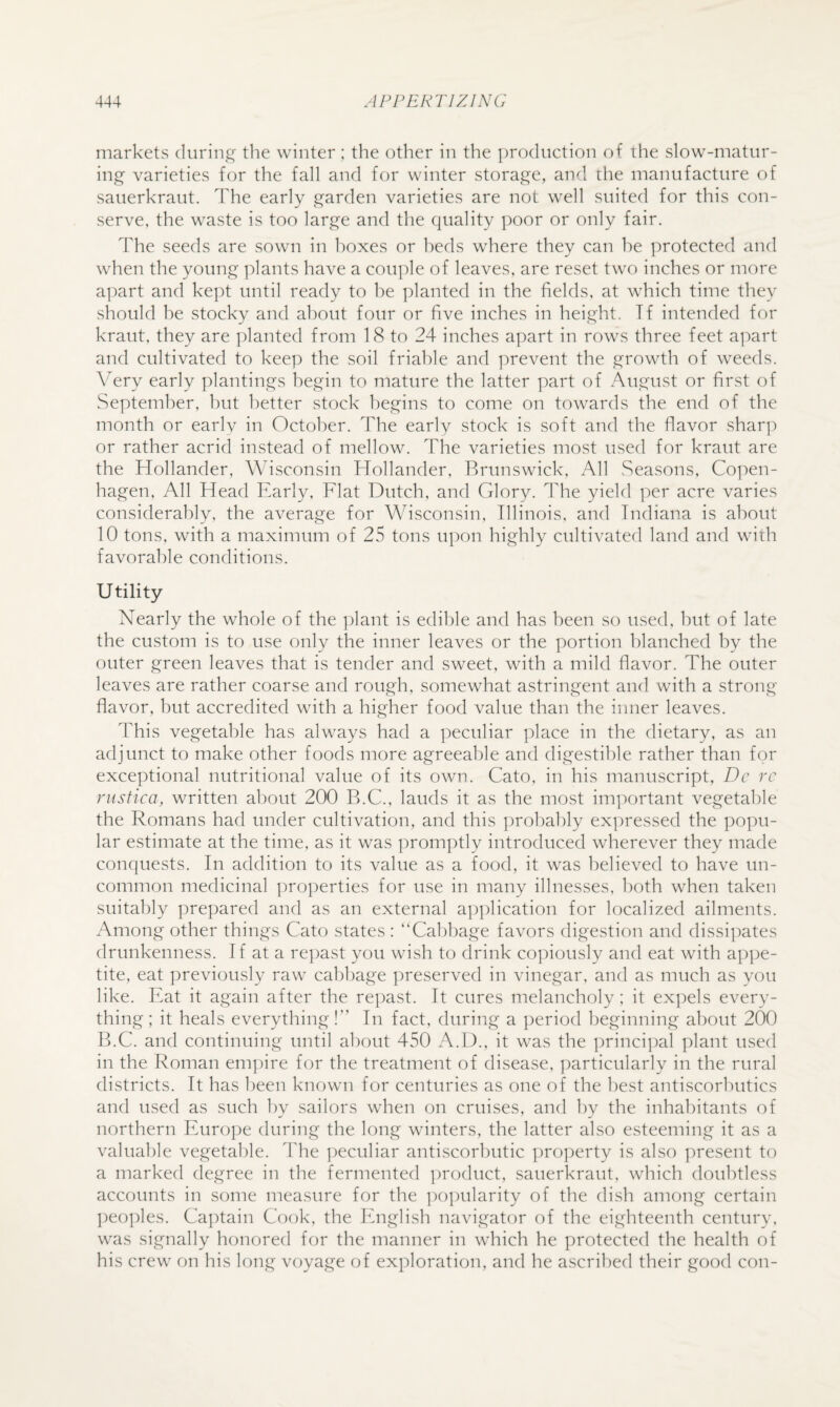 markets during the winter; the other in the production of the slow-matur¬ ing' varieties for the fall and for winter storage, and the manufacture of sauerkraut. The early garden varieties are not well suited for this con¬ serve. the waste is too large and the quality poor or only fair. The seeds are sown in boxes or beds where they can he protected and when the young plants have a couple of leaves, are reset two inches or more a])art and kept until ready to he ])lanted in the fields, at which time they should he stocky and about four or five inches in height. Tf intended for kraut, they are ])lanted from 18 to 24 inches apart in rows three feet apart and cultivated to keep the soil friable and prevent the growth of weeds. Very early plantings begin to mature the latter part of August or first of September, hut better stock begins to come on towards the end of the month or early in October. The early stock is soft and the flavor sharp or rather acrid instead of mellow. The varieties most used for kraut are the Hollander, Wisconsin Hollander, Brunswick, All .Seasons, Copen¬ hagen, All Head Early. Flat Dutch, and Glory. The yield per acre varies considerably, the average for Wisconsin, Illinois, and Indiana is about 10 tons, with a maximum of 25 tons upon highly cultivated land and with favorable conditions. Utility Nearly the whole of the plant is edible and has been so used, hut of late the custom is to use only the inner leaves or the portion blanched by the outer green leaves that is tender and sweet, with a mild flavor. The outer leaves are rather coarse and rough, somewhat astringent and with a strong- flavor, but accredited with a higher food value than the inner leaves. This vegetable has always had a peculiar place in the dietary, as an adjunct to make other foods more agreeable and digestible rather than for exceptional nutritional value of its own. Cato, in his manuscript, Dc rc riistica, written about 200 B.C., lauds it as the most important vegetable the Romans had under cultivation, and this probably expressed the popu¬ lar estimate at the time, as it was promptly introduced wherever they made conquests. In addition to its value as a food, it was believed to have un¬ common medicinal properties for use in many illnesses, both when taken suitably prepared and as an external a])plication for localized ailments. Among other things Cato states : “Cabbage favors digestion and dissi])ates drunkenness. If at a repast you wish to drink co])iously and eat with appe¬ tite, eat previously raw cabbage preserved in vinegar, and as much as you like. Eat it again after the repast. It cures melancholy; it ex]:)els every¬ thing ; it heals everything!” In fact, during a period beginning about 200 B.C. and continuing until about 450 A.D., it was the ])rincipal plant used in the Roman em]fire for the treatment of disease, particularly in the rural districts. It has been known for centuries as one of the best antiscorbutics and used as such by sailors when on cruises, and by the inhabitants of northern Euro])e during the long winters, the latter also esteeming it as a valuable vegetable. The ])eculiar antiscorbutic ])ro])erty is also present to a marked degree in the fermented product, sauerkraut, which doubtless accounts in some measure for the ])opularity of the dish among certain ])eoples. Ca])tain Cook, the Ifnglish navigator of the eighteenth century, was signally honored for the manner in which he protected the health of his crew on his long voyage of exploration, and he ascribed their good con-