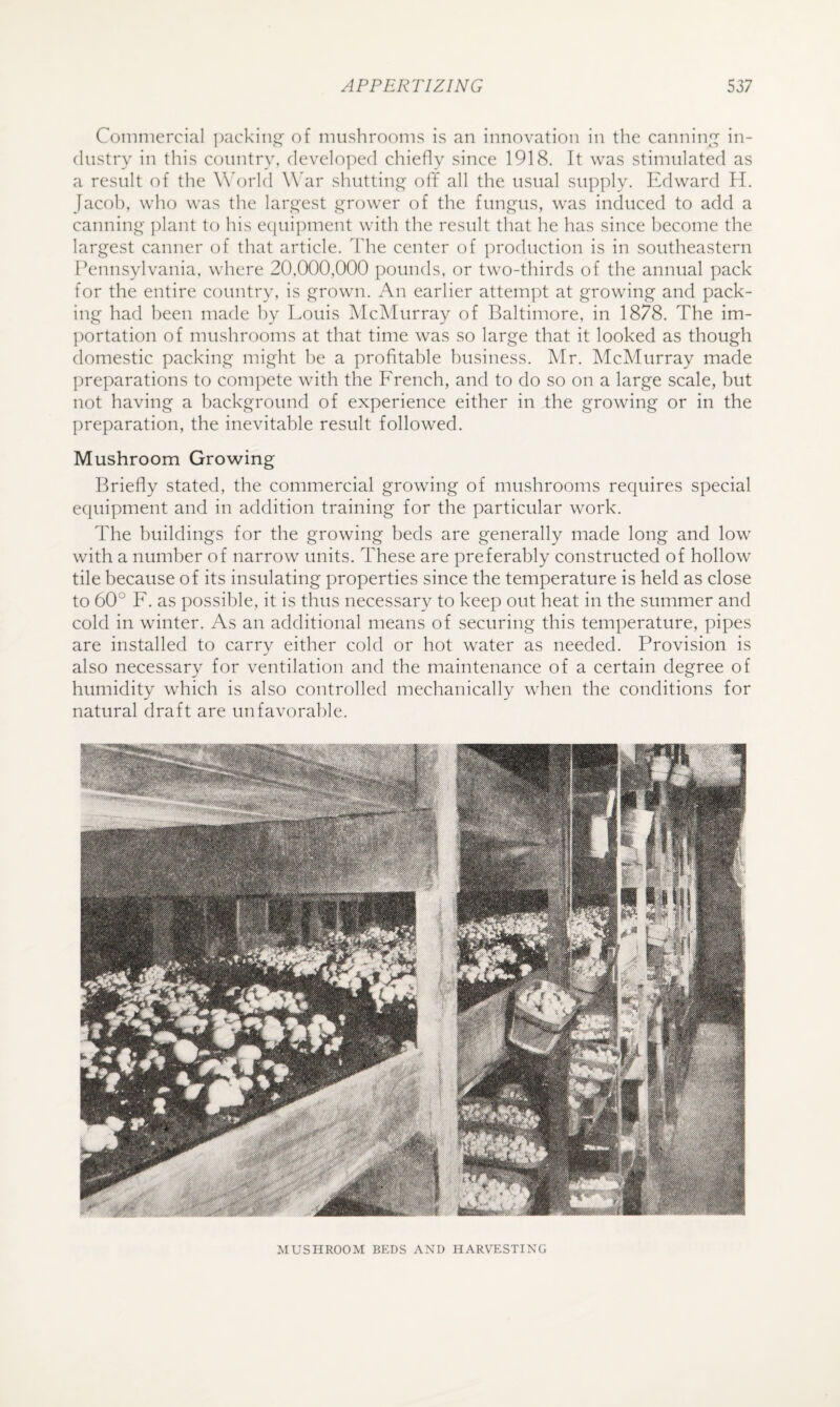 Coniniercial ])ackini^ of mushrooms is an innovation in the canning in¬ dustry in this country, developed chiefly since 1918. It was stimulated as a result ('ll the \\h)rld Whir shuttinij^ off all the usual sup])ly. Edward II. Jacoh, who was the lari^est i^rower of the fungus, was induced to add a canning' plant to his e(iui])mcnt with the result that he has since become the largest canner of that article, d'he center of ])roduction is in southeastern Pennsylvania, where 20,000,000 pounds, or two-thirds of the annual pack for the entire country, is grown. An earlier attempt at growing and pack¬ ing had been made by Louis iMcAIurray of Baltimore, in 1878. The im- ]:)ortation of mushrooms at that time was so large that it looked as though domestic packing might be a profitable business. Mr. McMurray made preparations to compete with the French, and to do so on a large scale, but not having a background of experience either in the growing or in the preparation, the inevitable result followed. Mushroom Growing Briefly stated, the commercial growing of mushrooms requires special ecpiipment and in addition training for the particular work. The buildings for the growing beds are generally made long and low with a number of narrow units. These are preferably constructed of hollow tile because of its insulating properties since the temperature is held as close to 60° F. as possible, it is thus necessary to keep out heat in the summer and cold in winter. As an additional means of securing this temperature, pipes are installed to carry either cold or hot water as needed. Provision is also necessary for ventilation and the maintenance of a certain degree of humidity which is also controlled mechanically when the conditions for natural draft are unfavorable. MUSHROOM BKDS AXU HARVESTING