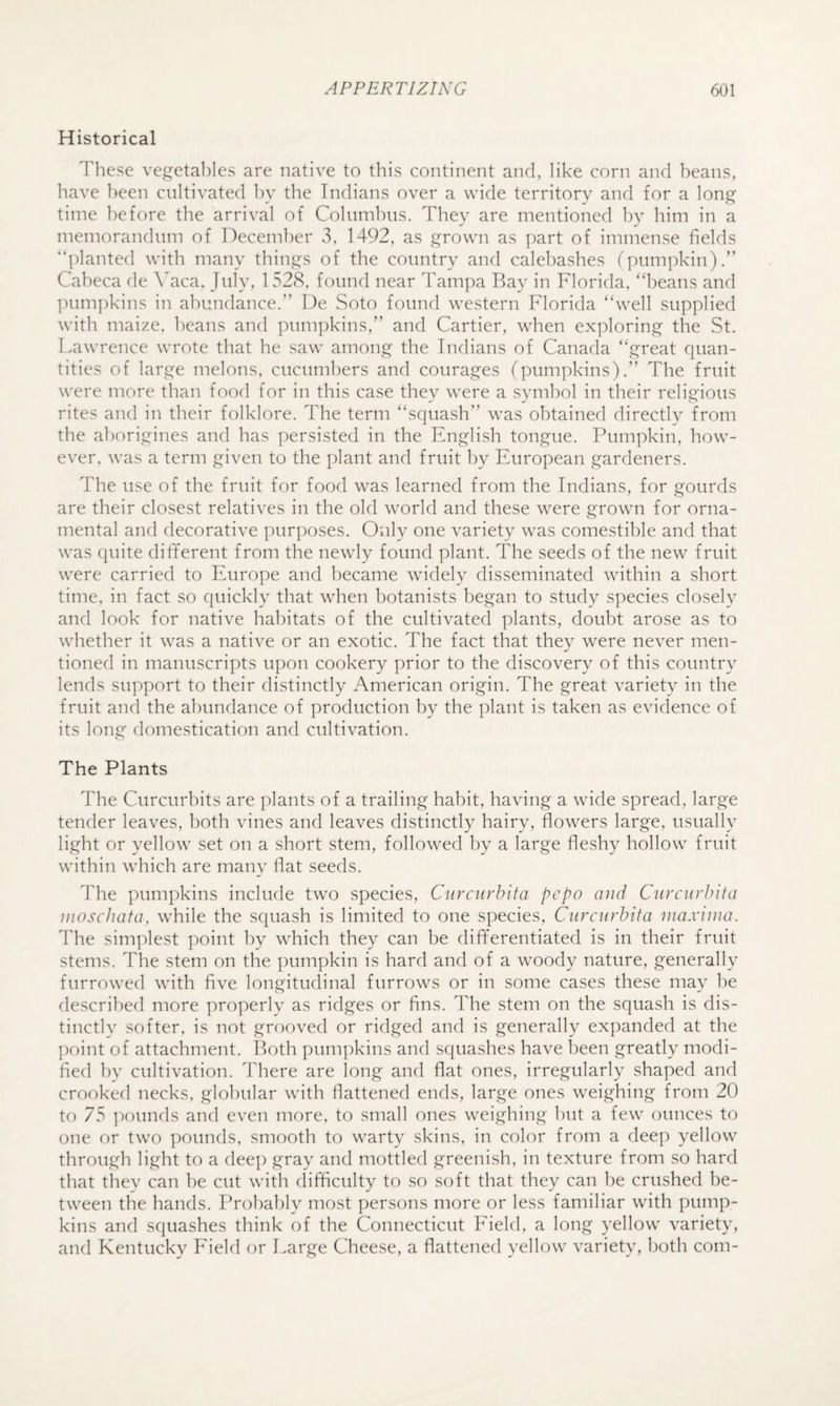 Historical These ve^eta1)les are native to this continent and, like corn and beans, have been cultivated by the Indians over a wide territory and for a long time before the arrival of Columbus. They are mentioned by him in a memorandum of December 3. 1492, as grown as part of immense fields “planted with many things of the country and calebashes fpumpkin).” Caheca de \kaca, July, 1 528, found near dTmpa Bay in Florida, '‘beans and inimpkins in abundance.” De Soto found western Florida “well supplied with maize, beans and pumpkins,” and Cartier, when exploring the St. Lawrence wrote that he saw among the Indians of Canada “great quan¬ tities of large melons, cucumbers and courages (pumpkins).” The fruit were more than food for in this case they were a symbol in their religious rites and in their folklore. The term “squash” was obtained directlv from the aborigines and has persisted in the English tongue. Pumpkin, how¬ ever, was a term given to the plant and fruit by European gardeners. The use of the fruit for food was learned from the Indians, for gourds are their closest relatives in the old world and these were grown for orna¬ mental and decorative purposes. Only one variety was comestible and that was quite different from the newly found plant. The seeds of the new fruit were carried to Europe and became widely disseminated within a short time, in fact so quickly that when botanists began to study species closely and look for native habitats of the cultivated plants, doubt arose as to whether it was a native or an exotic. The fact that they were never men¬ tioned in manuscripts upon cookery prior to the discovery of this country lends support to their distinctly American origin. The great variety in the fruit and the abundance of production by the plant is taken as evidence of its long domestication and cultivation. The Plants The Curcurbits are plants of a trailing habit, having a wide spread, large tender leaves, both vines and leaves distinctly hairy, flowers large, usually light or yellow set on a short stem, followed by a large fleshy hollow fruit within which are many flat seeds. The pumpkins include two species, Ciircurbita pepo and Cnrciirbifa nioschata, while the squash is limited to one s])ecies, Ciircurbita niaxuna. The simplest point by which they can be differentiated is in their fruit stems. The stem on the pumpkin is hard and of a woody nature, generally furrowed with five longitudinal furrows or in some cases these may he descril)ed more properly as ridges or fins. The stem on the squash is dis¬ tinctly softer, is not grooved or ridged and is generally expanded at the ]X)int of attachment, lloth pum])kins and squashes have been greatly modi¬ fied by cultivation. There are long and flat ones, irregularly shaped and crooked necks, globular with flattened ends, large ones weighing from 20 to 75 pounds and even more, to small ones weighing but a few ounces to one or two pounds, smooth to warty skins, in color from a deep yellow through light to a deep gray and mottled greenish, in texture from so hard that they can he cut with difficulty to so soft that they can be crushed be¬ tween the hands. Probably most persons more or less familiar with pump¬ kins and squashes think of the Connecticut Eield, a long yellow variety, and Kentucky Eield or Large Cheese, a flattened yellow variety, both com-