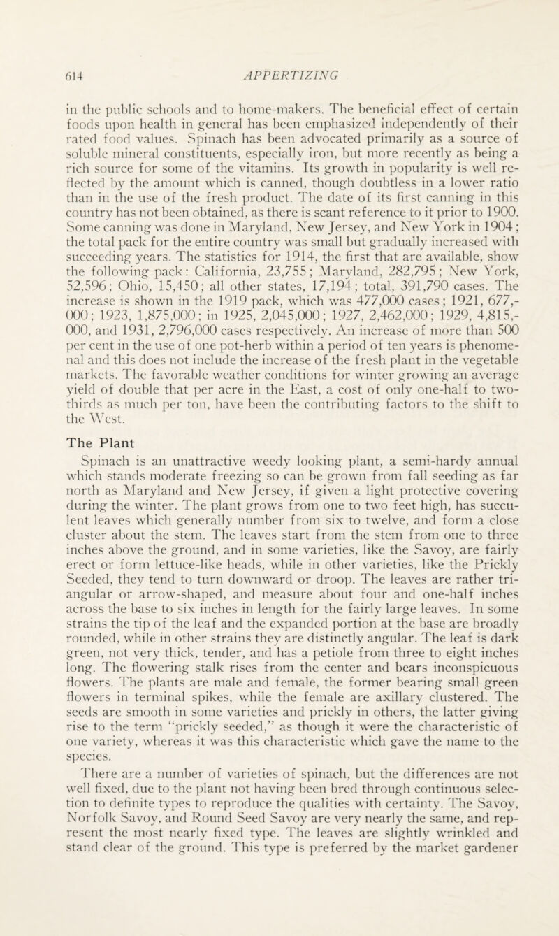 in the ])iil)lic schools and to home-makers. The heneficial effect of certain foods n])on health in General has been emphasized independently of their rated food values. Spinach has been advocated primarily as a source of soluble mineral constituents, especially iron, but more recently as being a rich source for some of the vitamins. Its growth in popularity is well re¬ flected by the amount which is canned, though doubtless in a lower ratio than in the use of the fresh product. The date of its first canning in this country has not been obtained, as there is scant reference to it prior to 1900. Some canning was done in Maryland, New Jersey, and New York in 1904; the total pack for the entire country was small but gradually increased with succeeding years. The statistics for 1914, the first that are available, show the following pack: California, 23,755; Maryland, 282,795; New York, 52,596 ; Ohio, 15,450; all other states, 17,194; total, 391,790 cases. The increase is shown in the 1919 pack, which was 477,000 cases; 1921, 677,- 000; 1923, 1,875,000; in 1925, 2,045,000; 1927, 2,462,000; 1929, 4,815,- 000, and 1931, 2,796,000 cases respectively. An increase of more than 500 per cent in the use of one pot-herb within a period of ten years is phenome¬ nal and this does not include the increase of the fresh plant in the vegetable markets. The favorable weather conditions for winter growing an average yield of double that per acre in the East, a cost of only one-half to two- thirds as much per ton, have been the contributing factors to the shift to the WTst. The Plant Spinach is an unattractive weedy looking plant, a semi-hardy annual which stands moderate freezing so can be grown from fall seeding as far north as Maryland and New Jersey, if given a light protective covering during the winter. The plant grows from one to two feet high, has succu¬ lent leaves which generally number from six to twelve, and form a close cluster about the stem. The leaves start from the stem from one to three inches above the ground, and in some varieties, like the Savoy, are fairly erect or form lettuce-like heads, while in other varieties, like the Prickly Seeded, they tend to turn downward or droop. The leaves are rather tri¬ angular or arrow-shaped, and measure about four and one-half inches across the base to six inches in length for the fairly large leaves. In some strains the tip of the leaf and the expanded portion at the base are broadly rounded, while in other strains they are distinctly angular. The leaf is dark green, not very thick, tender, and has a petiole from three to eight inches long. The flowering stalk rises from the center and bears inconspicuous flowers. The plants are male and female, the former bearing small green flowers in terminal spikes, while the female are axillary clustered. The seeds are smooth in some varieties and prickly in others, the latter giving rise to the term “prickly seeded,” as though it were the characteristic of one variety, whereas it was this characteristic which gave the name to the s])ecies. There are a number of varieties of spinach, hut the differences are not well fixed, due to the plant not having been bred through continuous selec¬ tion to definite ty])es to reproduce the qualities with certainty. The Savoy, Norfolk Savoy, and Round Seed Savoy are very nearly the same, and rep¬ resent the most nearly fixed tyt)e. The leaves are slightly wrinkled and stand clear of the ground. This type is ])referred l)y the market gardener