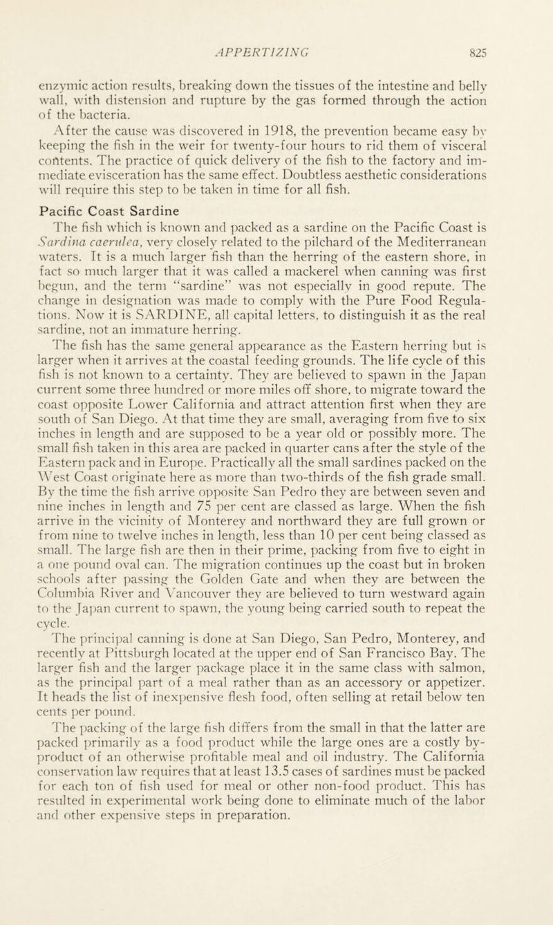 enzymic action results, breaking down the tissues of the intestine and belly wall, with distension and rupture by the gas formed through the action of the bacteria. After the cause was discovered in 1918, the prevention became easy b^' keeping the fish in the weir for twenty-four hours to rid them of visceral contents. The ])ractice of quick delivery of the fish to the factory and im¬ mediate evisceration has the same effect. Doubtless aesthetic considerations will require this step to be taken in time for all fish. Pacific Coast Sardine The fish which is known and packed as a sardine on the Pacific Coast is Saniiiia caendca, very closely related to the pilchard of the Mediterranean waters. Tt is a much larger fish than the herring of the eastern shore, in fact so much larger that it was called a mackerel when canning was first begun, and the term “sardine” was not especially in good repute. The change in designation was made to comply with the Pure Food Regula¬ tions. Now it is SARDINE, all capital letters, to distinguish it as the real sardine, not an immature herring. The fish has the same general appearance as the Eastern herring but is larger when it arrives at the coastal feeding grounds. The life cycle of this fish is not known to a certainty. They are believed to spawn in the Japan current some three hundred or more miles off shore, to migrate toward the coast opposite Lower California and attract attention first when they are south of San Diego. At that time they are small, averaging from five to six inches in length and are supposed to be a year old or possibly more. The small fish taken in this area are packed in quarter cans after the style of the Eastern pack and in Europe. Practically all the small sardines packed on the ATst Coast originate here as more than two-thirds of the fish grade small. By the time the fish arrive opposite San Pedro they are between seven and nine inches in length and 75 per cent are classed as large. When the fish arrive in the vicinity of Monterey and northward they are full grown or from nine to twelve inches in length, less than 10 per cent being classed as small. The large fish are then in their prime, packing from five to eight in a one pound oval can. The migration continues up the coast but in broken schools after passing the Golden Gate and when they are between the Columbia River and Vancouver they are believed to turn westward again to the Japan current to spawn, the young being carried south to repeat the cycle. The princi])al canning is done at San Diego, San Pedro, Monterey, and recently at Pittsburgh located at the upper end of San Francisco Bay. The larger fish and the larger ])ackage place it in the same class with salmon, as the principal part of a meal rather than as an accessory or appetizer. Tt heads the list of inexpensive flesh food, often selling at retail below ten cents per pound. The packing of the large fish differs from the small in that the latter are packed primarily as a food product while the large ones are a costly by- ])roduct of an otherwise profitable meal and oil industry. The California conservation law requires that at least lv3.5 cases of sardines must be packed for each ton of fish used for meal or other non-food product. This has resulted in ex])erimental work being done to eliminate much of the labor and other expensive steps in preparation.