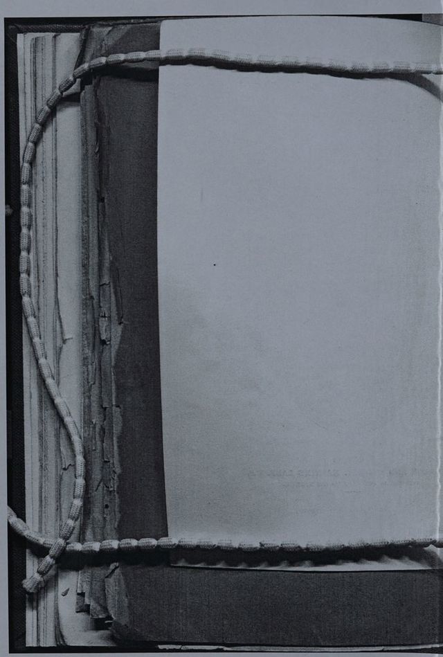 digitised image 2