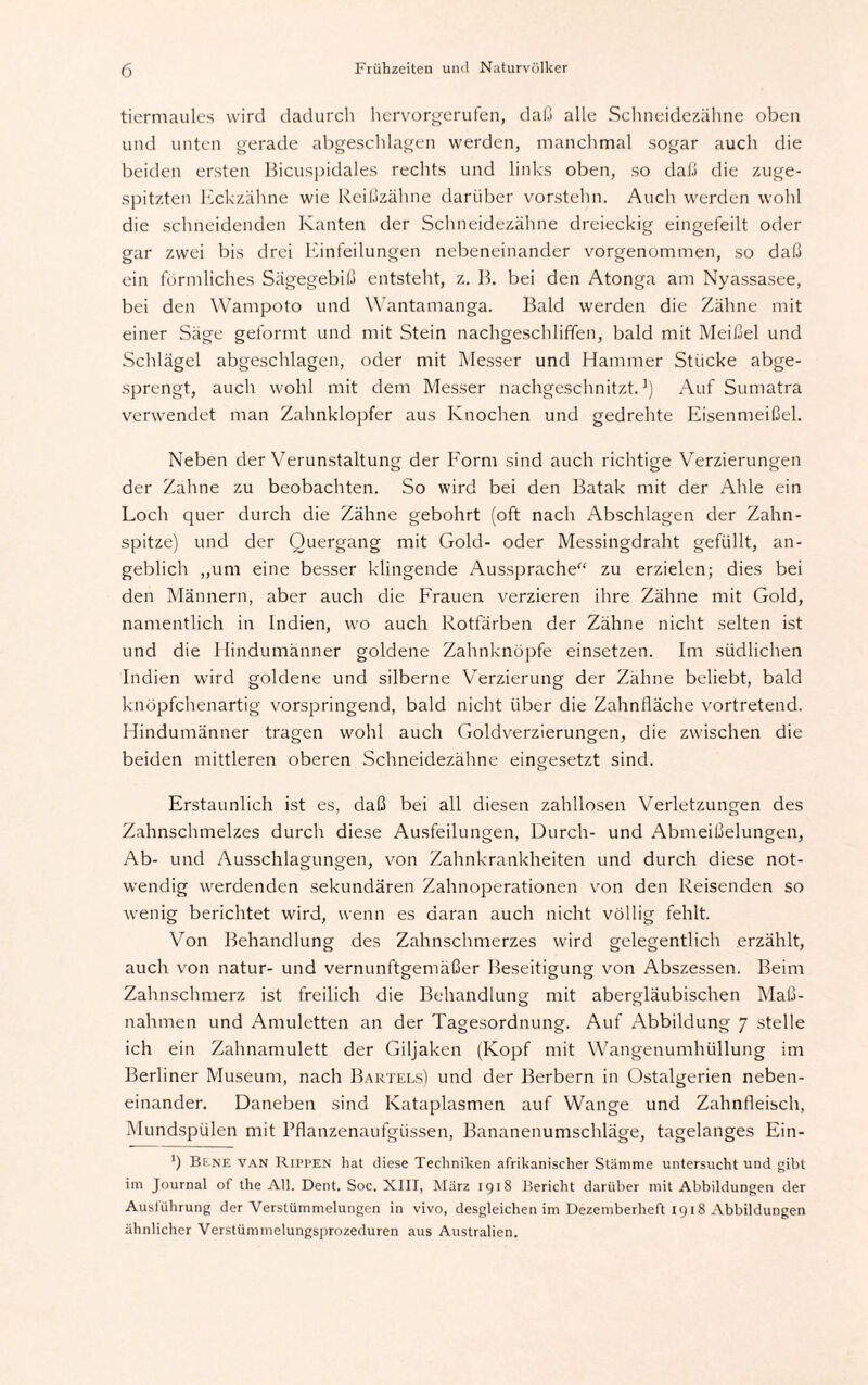 tiermaules wird dadurch hervorgerufen, daß alle Schneidezähne oben und unten gerade abgeschlagen werden, manchmal sogar auch die beiden ersten Bicuspidales rechts und links oben, so daß die zuge¬ spitzten Eckzähne wie Reißzähne darüber vorstehn. Auch werden wohl die schneidenden Kanten der Schneidezähne dreieckig eingefeilt oder gar zwei bis drei Einteilungen nebeneinander vorgenommen, so daß ein förmliches Sägegebiß entsteht, z. B. bei den Atonga am Nyassasee, bei den Wampoto und Wantamanga. Bald werden die Zähne mit einer Säge geformt und mit Stein nachgeschliffen, bald mit Meißel und Schlägel abgeschlagen, oder mit Messer und Hammer Stücke abge¬ sprengt, auch wohl mit dem Messer nachgeschnitzt.1) Auf Sumatra verwendet man Zahnklopfer aus Knochen und gedrehte Eisenmeißel. Neben der Verunstaltung der Form sind auch richtige Verzierungen der Zahne zu beobachten. So wird bei den Batak mit der Ahle ein Loch quer durch die Zähne gebohrt (oft nach Abschlagen der Zahn¬ spitze) und der Quergang mit Gold- oder Messingdraht gefüllt, an¬ geblich „um eine besser klingende Aussprache“ zu erzielen; dies bei den Männern, aber auch die Frauen verzieren ihre Zähne mit Gold, namentlich in Indien, wo auch Rotfärben der Zähne nicht selten ist und die Hindumänner goldene Zahnknöpfe einsetzen. Im südlichen Indien wird goldene und silberne Verzierung der Zähne beliebt, bald knöpfchenartig vorspringend, bald nicht über die Zahnfläche vortretend. Hindumänner tragen wohl auch Goldverzierungen, die zwischen die beiden mittleren oberen Schneidezähne eingesetzt sind. Erstaunlich ist es, daß bei all diesen zahllosen Verletzungen des Zahnschmelzes durch diese Ausfeilungen, Durch- und Abmeißelungen, Ab- und Ausschlagungen, von Zahnkrankheiten und durch diese not¬ wendig werdenden sekundären Zahnoperationen von den Reisenden so wenig berichtet wird, wenn es daran auch nicht völlig fehlt. Von Behandlung des Zahnschmerzes wird gelegentlich erzählt, auch von natur- und vernunftgemäßer Beseitigung von Abszessen. Beim Zahnschmerz ist freilich die Behandlung mit abergläubischen Maß¬ nahmen und Amuletten an der Tagesordnung. Auf Abbildung 7 stelle ich ein Zahnamulett der Giljaken (Kopf mit Wangenumhüllung im Berliner Museum, nach Bartels) und der Berbern in Ostalgerien neben¬ einander. Daneben sind Kataplasmen auf Wange und Zahnfleisch, Mundspülen mit Pflanzenaufgüssen, Bananenumschläge, tagelanges Ein- ’) Bene van Rippen hat diese Techniken afrikanischer Stämme untersucht und gibt im Journal of the All. Dent. Soc. XIII, März 1918 Bericht darüber mit Abbildungen der Auslührung der Verstümmelungen in vivo, desgleichen im Dezemberheft 1918 Abbildungen ähnlicher Verstümmelungsprozeduren aus Australien.