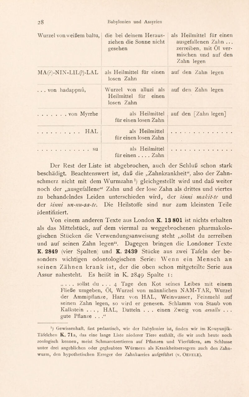 Wurzel von weißem ballu, die bei deinem Heraus¬ ziehen die Sonne nicht gesehen als Heilmittel für einen ausgefallenen Zahn ... zerreiben, mit Öl ver¬ mischen und auf den Zahn legen MA(?)-NIN-LIL(r)-LAL als Heilmittel für einen losen Zahn auf den Zahn legen . . . von hadappnü, Wurzel von alluzi als Heilmittel für einen losen Zahn auf den Zahn legen als Heilmittel für einen losen Zahn auf den [Zahn legen] .HAL als Heilmittel für einen losen Zahn .su als Heilmittel für einen .... Zahn Der Rest der Liste ist abgebrochen, auch der Schluß schon stark beschädigt. Beachtenswert ist, daß die ,,Zahnkrankheit“, also der Zahn¬ schmerz nicht mit dem Wurmzahn1) gleichgestellt wird und daß weiter noch der „ausgefallene“ Zahn und der lose Zahn als drittes und viertes zu behandelndes Leiden unterschieden wird, der sinni makit-te und der sinni un-nu-sa-te. Die HeilstofTe sind nur zum kleinsten Teile identifiziert. Von einem anderen Texte aus London K. 13 801 ist nichts erhalten als das Mittelstück, auf dem viermal zu weggebrochenen pharmakolo¬ gischen Stücken die Verwendungsanweisung steht „sollst du zerreiben und auf seinen Zahn legen“. Dagegen bringen die Londoner Texte K. 2849 (vier Spalten) und K. 2439 Stücke aus zwei Tafeln der be¬ sonders wichtigen odontologischen Serie: Wenn ein Mensch an seinen Zähnen krank ist, der die oben schon mitgeteilte Serie aus Assur nahesteht. Es heißt in K. 2849 Spalte 1: „ . . . sollst du ... 4 Tage den Kot seines Leibes mit einem Fließe umgeben, Öl, Wurzel von männlichen NAM-TAR, Wurzel der Ammipflanze, Harz von HAL, Weinwasser, Feinmehl auf seinen Zahn legen, so wird er genesen. Schlamm von Staub von Kalkstein . . . , HAL, Datteln . . . einen Zweig von arsallu . . . gute Pflanze . . .“ ') Gewissenhaft, fast pedantisch, wie der Babylonier ist, finden wir im Kouyunjik- Täfelchen K. 71a, das eine lange Liste niederer Tiere enthält, die wir auch heute noch zoologisch kennen, meist Schmarotzertieren auf Pflanzen und Vierfüßern, am Schlüsse unter drei angeblichen oder geglaubten Würmern als Krankheitserregern auch den Zahn¬ wurm, den hypothetischen Erreger der Zahnkarries aufgeführt (v. Oekele).