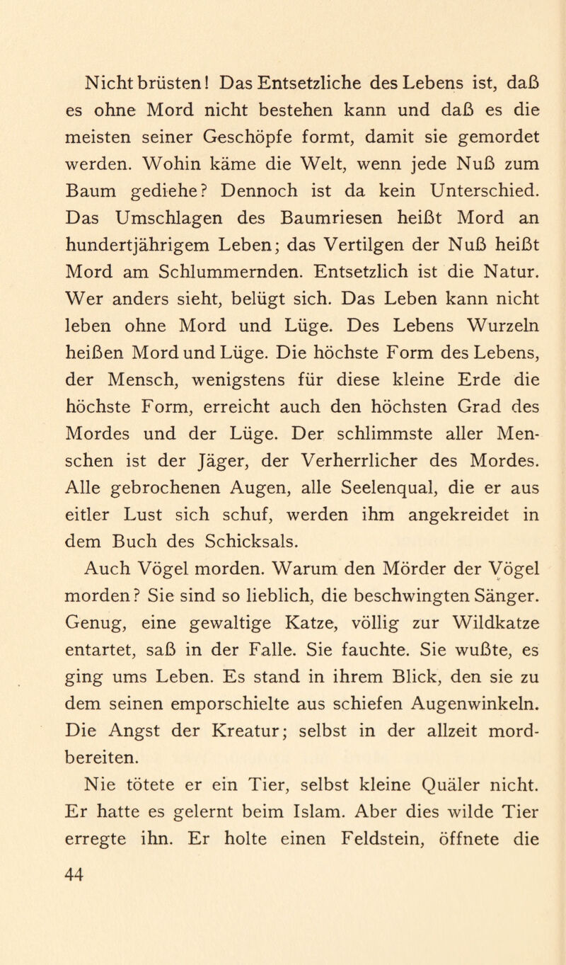 Nicht brüsten! Das Entsetzliche des Lebens ist, daß es ohne Mord nicht bestehen kann und daß es die meisten seiner Geschöpfe formt, damit sie gemordet werden. Wohin käme die Welt, wenn jede Nuß zum Baum gediehe? Dennoch ist da kein Unterschied. Das Umschlagen des Baumriesen heißt Mord an hundertjährigem Leben; das Vertilgen der Nuß heißt Mord am Schlummernden. Entsetzlich ist die Natur. Wer anders sieht, belügt sich. Das Leben kann nicht leben ohne Mord und Lüge. Des Lebens Wurzeln heißen Mord und Lüge. Die höchste Form des Lebens, der Mensch, wenigstens für diese kleine Erde die höchste Form, erreicht auch den höchsten Grad des Mordes und der Lüge. Der schlimmste aller Men¬ schen ist der Jäger, der Verherrlicher des Mordes. Alle gebrochenen Augen, alle Seelenqual, die er aus eitler Lust sich schuf, werden ihm angekreidet in dem Buch des Schicksals. Auch Vögel morden. Warum den Mörder der Vögel morden? Sie sind so lieblich, die beschwingten Sänger. Genug, eine gewaltige Katze, völlig zur Wildkatze entartet, saß in der Falle. Sie fauchte. Sie wußte, es ging ums Leben. Es stand in ihrem Blick, den sie zu dem seinen emporschielte aus schiefen Augenwinkeln. Die Angst der Kreatur; selbst in der allzeit mord¬ bereiten. Nie tötete er ein Tier, selbst kleine Quäler nicht. Er hatte es gelernt beim Islam. Aber dies wilde Tier erregte ihn. Er holte einen Feldstein, öffnete die