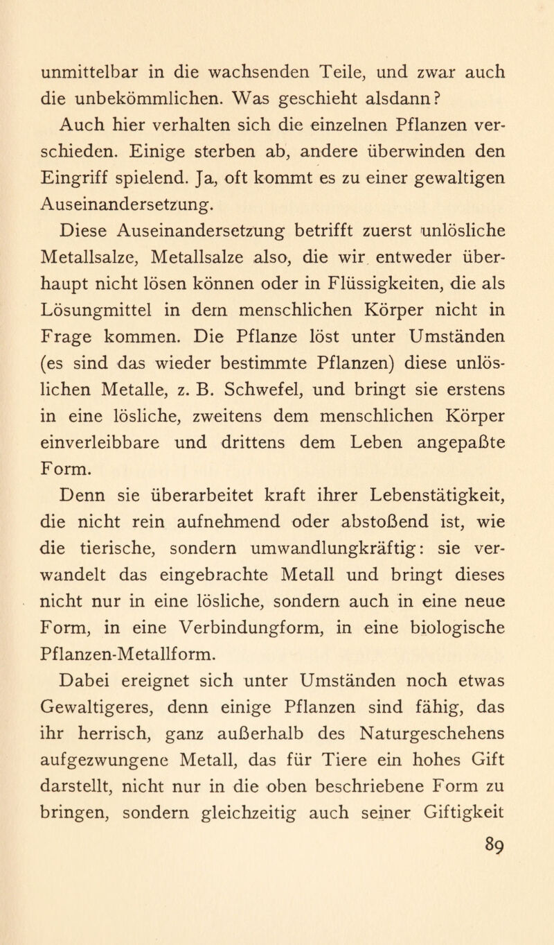 unmittelbar in die wachsenden Teile, und zwar auch die unbekömmlichen. Was geschieht alsdann? Auch hier verhalten sich die einzelnen Pflanzen ver¬ schieden. Einige sterben ab, andere überwinden den Eingriff spielend. Ja, oft kommt es zu einer gewaltigen Auseinandersetzung. Diese Auseinandersetzung betrifft zuerst unlösliche Metallsalze, Metallsalze also, die wir entweder über¬ haupt nicht lösen können oder in Flüssigkeiten, die als Lösungmittel in dem menschlichen Körper nicht in Frage kommen. Die Pflanze löst unter Umständen (es sind das wieder bestimmte Pflanzen) diese unlös¬ lichen Metalle, z. B. Schwefel, und bringt sie erstens in eine lösliche, zweitens dem menschlichen Körper einverleibbare und drittens dem Leben angepaßte Form. Denn sie überarbeitet kraft ihrer Lebenstätigkeit, die nicht rein aufnehmend oder abstoßend ist, wie die tierische, sondern umwandlungkräftig: sie ver¬ wandelt das eingebrachte Metall und bringt dieses nicht nur in eine lösliche, sondern auch in eine neue Form, in eine Verbindungform, in eine biologische Pflanzen-Metallform. Dabei ereignet sich unter Umständen noch etwas Gewaltigeres, denn einige Pflanzen sind fähig, das ihr herrisch, ganz außerhalb des Naturgeschehens aufgezwungene Metall, das für Tiere ein hohes Gift darstellt, nicht nur in die oben beschriebene Form zu bringen, sondern gleichzeitig auch seiner Giftigkeit