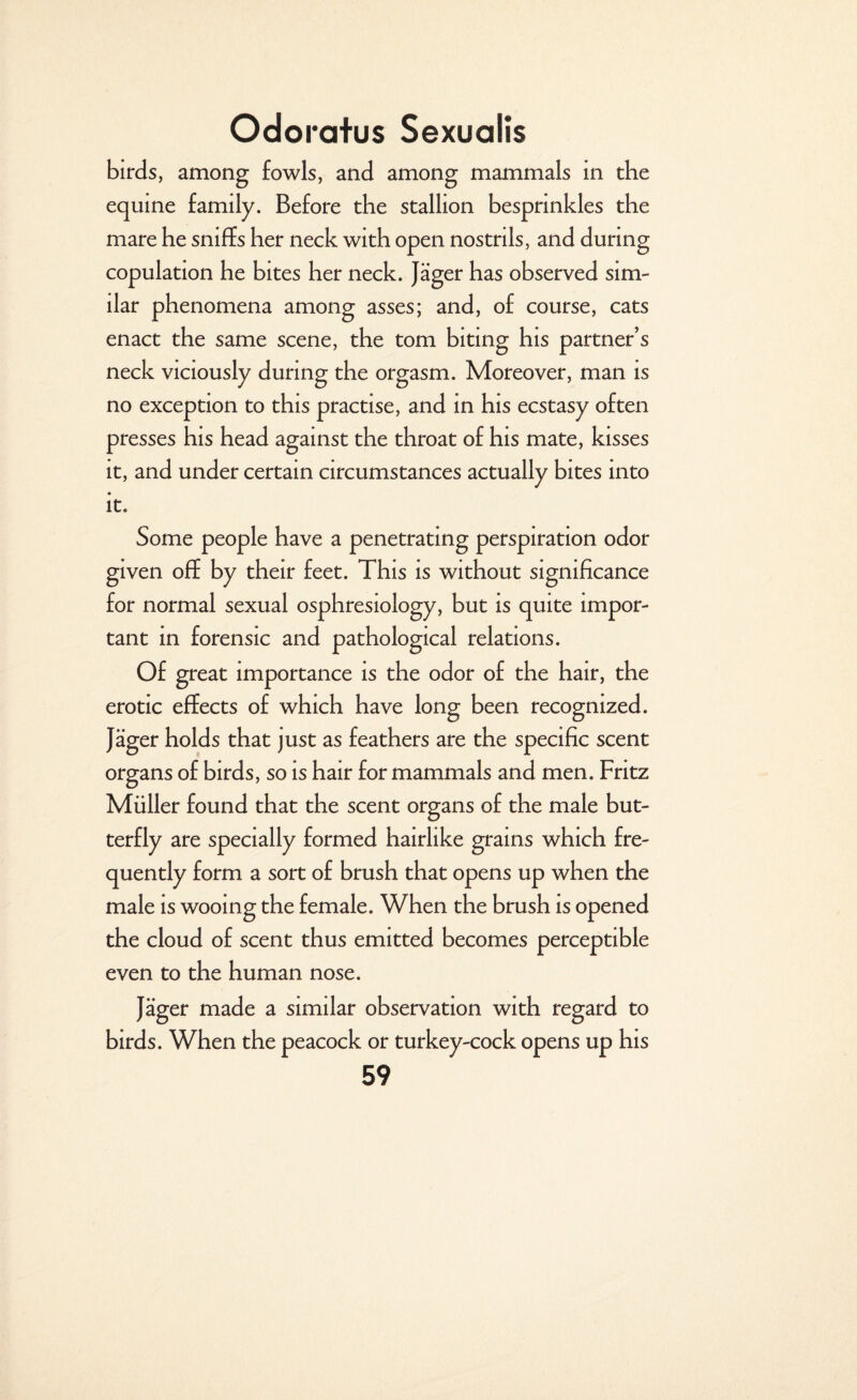 birds, among fowls, and among mammals in the equine family. Before the stallion besprinkles the mare he sniffs her neck with open nostrils, and during copulation he bites her neck. Jager has observed sim¬ ilar phenomena among asses; and, of course, cats enact the same scene, the tom biting his partner’s neck viciously during the orgasm. Moreover, man is no exception to this practise, and in his ecstasy often presses his head against the throat of his mate, kisses it, and under certain circumstances actually bites into it. Some people have a penetrating perspiration odor given off by their feet. This is without significance for normal sexual osphresiology, but is quite impor¬ tant in forensic and pathological relations. Of great importance is the odor of the hair, the erotic effects of which have long been recognized. Jager holds that just as feathers are the specific scent organs of birds, so is hair for mammals and men. Fritz Muller found that the scent organs of the male but¬ terfly are specially formed hairlike grains which fre¬ quently form a sort of brush that opens up when the male is wooing the female. When the brush is opened the cloud of scent thus emitted becomes perceptible even to the human nose. Jager made a similar observation with regard to birds. When the peacock or turkey-cock opens up his