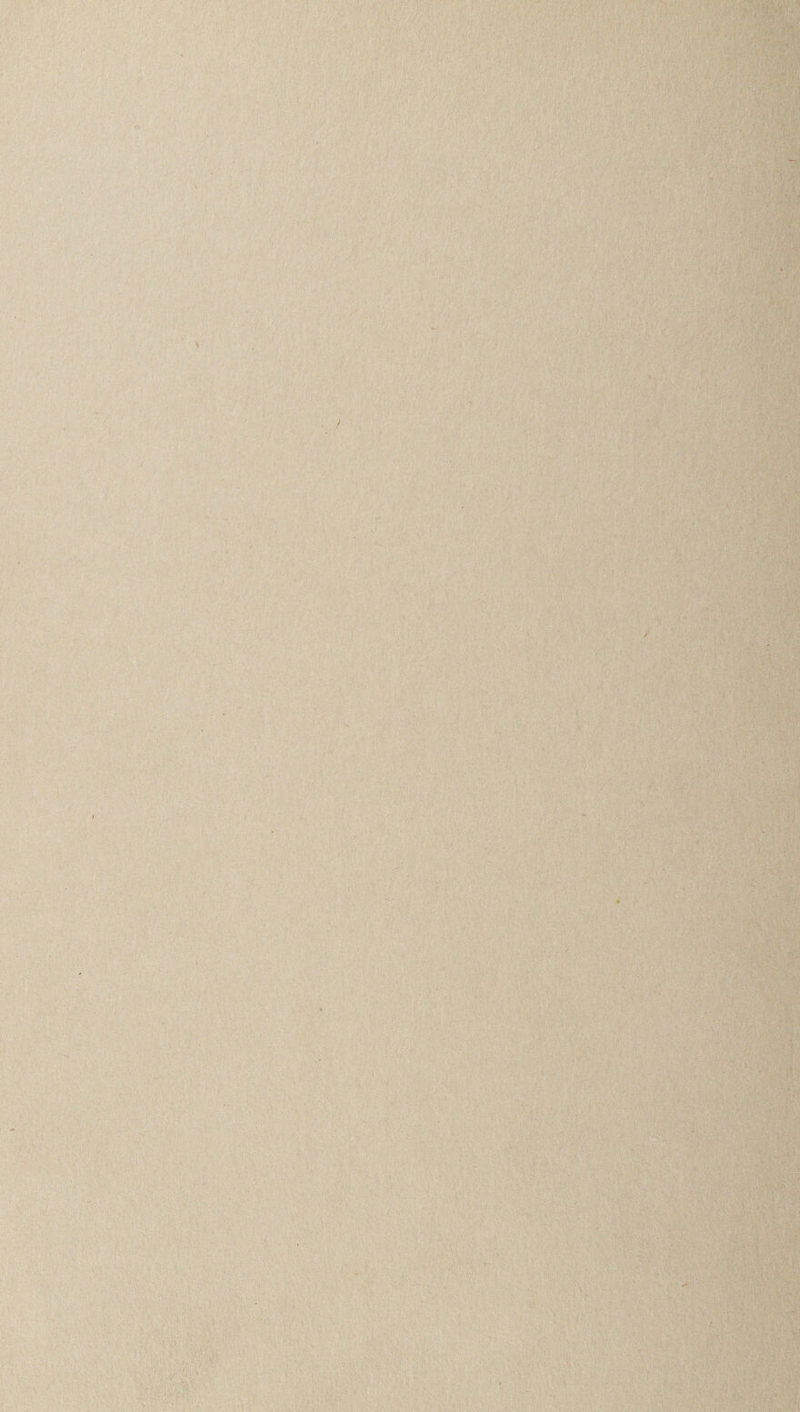 \/ : ‘ • / « 'A' ^ V ' •- ^ • * ■*' ' .-•• .'C] ii) . f*-