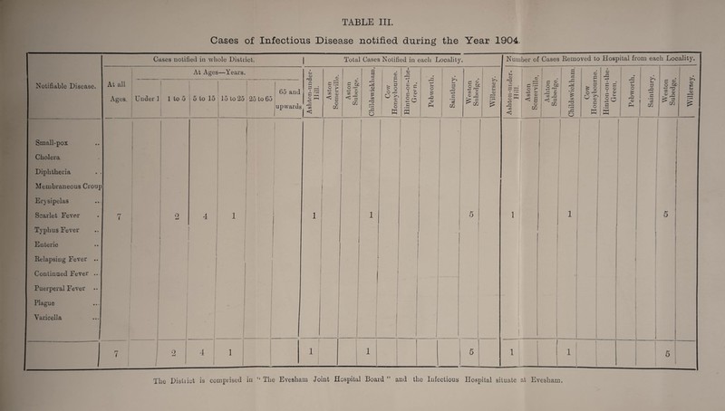 Cases of Infectious Disease notified during the Year 1904.