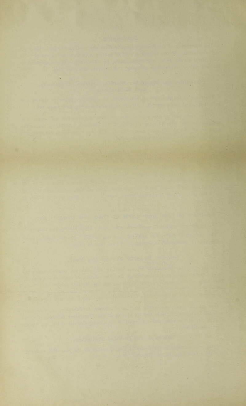 ■* i ' ' . ?. '.i^uVtlVuI lidd ? -ji . r-in . ...4, ..u :<r . t‘*‘ ^ »*-■ 'i'' ^ •' ^ ‘'..V ’ ^ *■' . ► .r,u-b «.•»-.• .•> ■ I ‘I '^•‘v •-.-i-..,— anu .r-m ,■% Vv-•i»fk*P»il. -■***.•*■;*.■- •• ^ nnS^^^^lllJR ,ivitr-iiilfi' vt > ^ ^ V- > ^ -r. V * •’, ^ “ r. ' .■ • '• -Vi.' >