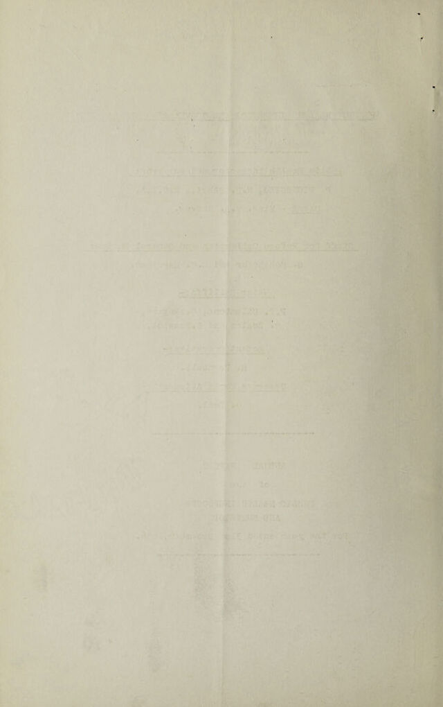 digitised image 2
