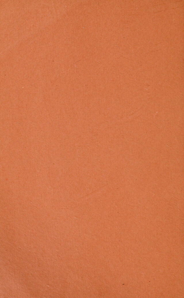 digitised image 2