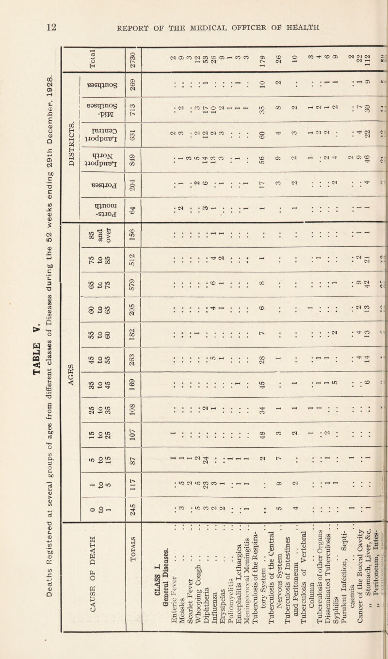 Deaths Registered at several groups of ages from different classes of Diseases during the 52 weeks ending 29th December, 1928.