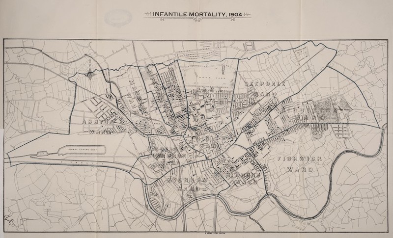 H INFANTILE MORTALITY, 1904 K -^ W »*DWN. LITHO. FBtJTON S) w'