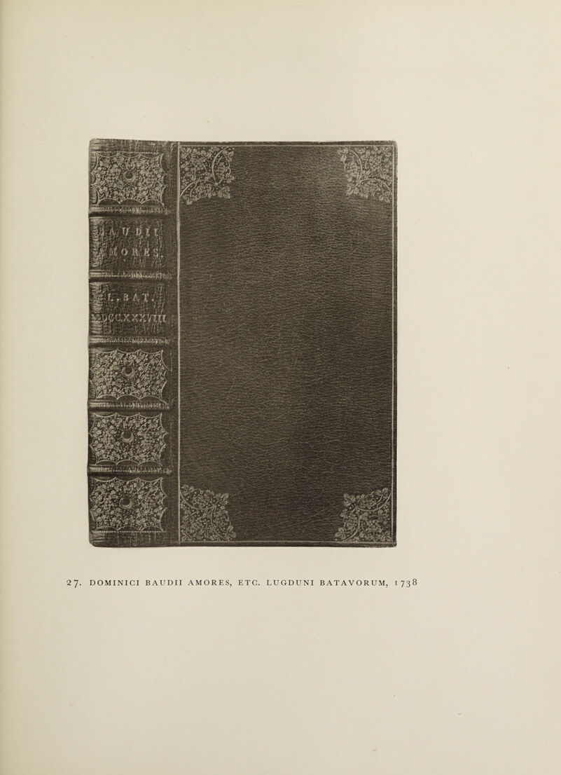 27. DOMINICI BAUDII AMORES, ETC. LUGDUNI BATAVORUM, 1738