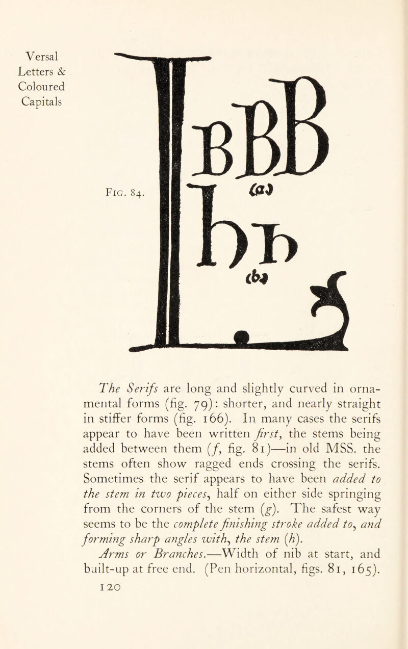 Letters & Coloured Capitals The Serifs are long and slightly curved in orna¬ mental forms (fig. 79): shorter, and nearly straight in stiffen forms (fig. 166). In many cases the serifs appear to have been written first, the stems being added between them (/, fig. 81)—in old MSS. the stems often show ragged ends crossing the serifs. Sometimes the serif appears to have been added to the stem in two pieces, half on either side springing from the corners of the stem (g). The safest way seems to be the complete finishing stroke added to, and forming sharp angles zvith, the stem (h). Arms or Branches.—Width of nib at start, and built-up at free end. (Pen horizontal, figs. 81, 165).