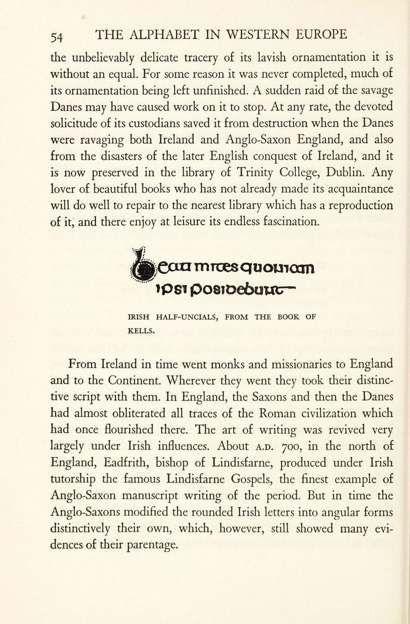 the unbelievably delicate tracery of its lavish ornamentation it is without an equal. For some reason it was never completed, much of its ornamentation being left unfinished. A sudden raid of the savage Danes may have caused work on it to stop. At any rate, the devoted solicitude of its custodians saved it from destruction when the Danes were ravaging both Ireland and Anglo-Saxon England, and also from the disasters of the later English conquest of Ireland, and it is now preserved in the library of Trinity College, Dublin. Any lover of beautiful books who has not already made its acquaintance will do well to repair to the nearest library which has a reproduction of it, and there enjoy at leisure its endless fascination. era mroesquouiocm ipsi posioeouwr- IRISH HALF-UNCIALS, FROM THE BOOK OF KELLS. From Ireland in time went monks and missionaries to England and to the Continent. Wherever they went they took their distinc¬ tive script with them. In England, the Saxons and then the Danes had almost obliterated all traces of the Roman civilization which had once flourished there. The art of writing was revived very largely under Irish influences. About a.d. 700, in the north of England, Eadfrith, bishop of Lindisfarne, produced under Irish tutorship the famous Lindisfarne Gospels, the finest example of Anglo-Saxon manuscript writing of the period. But in time the Anglo-Saxons modified the rounded Irish letters into angular forms distinctively their own, which, however, still showed many evi¬ dences of their parentage.
