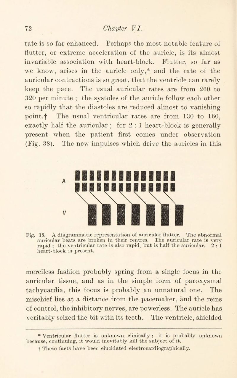 rate is so far enhanced. Perhaps the most notable feature of flutter, or extreme acceleration of the auricle, is its almost invariable association with heart-block. Flutter, so far as we know, arises in the auricle only,* and the rate of the auricular contractions is so great, that the ventricle can rarely keep the pace. The usual auricular rates are from 260 to 320 per minute ; the systoles of the auricle follow each other so rapidly that the diastoles are reduced almost to vanishing point.f The usual ventricular rates are from 130 to 160, exactly half the auricular ; for 2 : 1 heart-block is generally present when the patient first comms under observation (Fig. 38). The new impulses which drive the auricles in this Fig. 38. A diagrammatic representation of auricular flutter. The abnormal auricular beats are broken in their centres. The auricular rate is very rapid ; the ventricular rate is also rapid^ but is half the auricular. 2 : 1 heart-block is present. merciless fashion probably spring from a single focus in the auricular tissue, and as in the simple form of paroxysmal tachycardia, this focus is probably an unnatural one. The mischief lies at a distance from the pacemaker, and the reins of control, the inhibitory nerves, are powerless. The auricle has veritably seized the bit with its teeth. The ventricle, shielded * Ventricular flutter is unknown clinically ; it is probably unknown because, continuing, it would inevitably kill the subject of it. I These facts have been elucidated electrocardiographically.