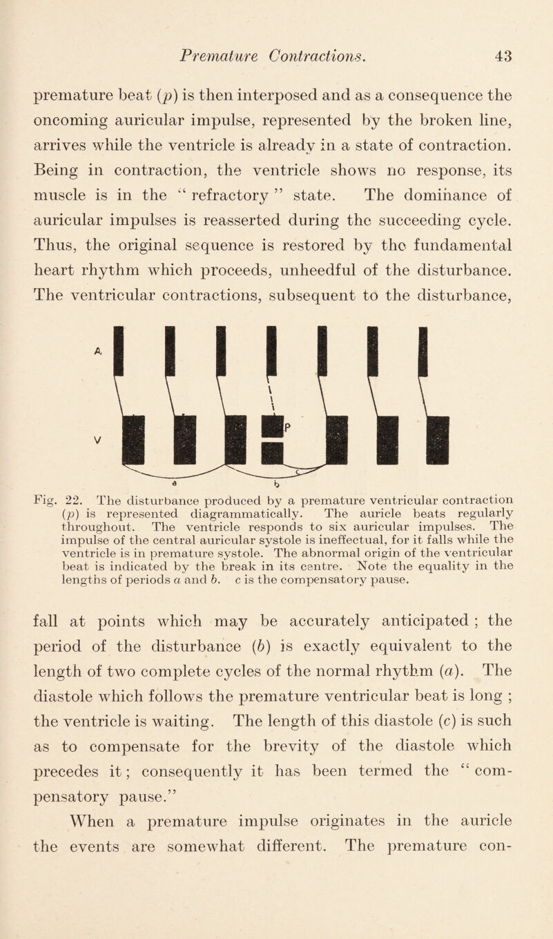 premature beat (p) is then interposed and as a consequence the oncoming auricular impulse, represented by the broken line, arrives while the ventricle is already in a state of contraction. Being in contraction, the ventricle shows no response, its muscle is in the 44 refractory ” state. The dominance of auricular impulses is reasserted during the succeeding cycle. Thus, the original sequence is restored by the fundamental heart rhythm which proceeds, unheedful of the disturbance. The ventricular contractions, subsequent to the disturbance, Fig. 22. The disturbance produced by a premature ventricular contraction (p) is represented diagrammatically. The auricle beats regularly throughout. The ventricle responds to six auricular impulses. The impulse of the central auricular systole is ineffectual, for it falls while the ventricle is in premature systole. The abnormal origin of the ventricular beat is indicated by the break in its centre. Note the equality in the lengths of periods a and b. c is the compensatory pause. fall at points which may be accurately anticipated ; the period of the disturbance (b) is exactly equivalent to the length of two complete cycles of the normal rhythm (a). The diastole which follows the premature ventricular beat is long ; the ventricle is waiting. The length of this diastole (c) is such as to compensate for the brevity of the diastole which precedes it; consequently it has been termed the 44 com¬ pensatory pause.” When a premature impulse originates in the auricle the events are somewhat different. The premature con-