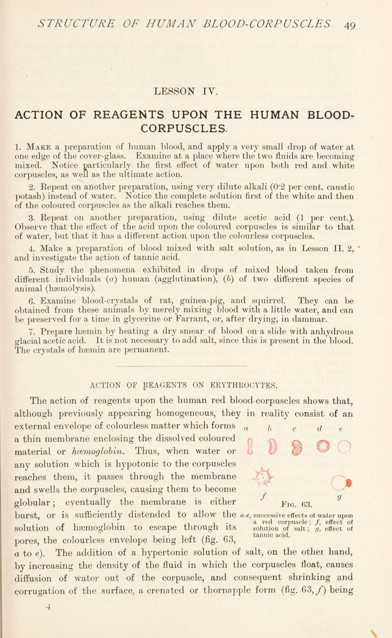 LESSON IY. ACTION OF REAGENTS UPON THE HUMAN BLOOD- CORPUSCLES. 1. Make a preparation of human blood, and apply a very small drop of water at one edge of the cover-glass. Examine at a place where the two fluids are becoming mixed. Notice particularly the first effect of water upon both red and white corpuscles, as well as the ultimate action. 2. Repeat on another preparation, using very dilute alkali (0*2 per cent, caustic potash) instead of water. Notice the complete solution first of the white and then of the coloured corpuscles as the alkali reaches them. 3. Repeat on another preparation, using dilute acetic acid (1 per cent.). Observe that the effect of the acid upon the coloured corpuscles is similar to that of water, but that it has a different action upon the colourless corpuscles. 4. Make a preparation of blood mixed with salt solution, as in Lesson II. 2, * and investigate the aption of tannic acid. 5. Study the phenomena exhibited in drops of mixed blood taken from different individuals (a) human (agglutination), (b) of two different species of animal (haemolysis). 6. Examine blood-crystals of rat, guinea-pig, and squirrel. They can be obtained from these animals by merely mixing blood with a little water, and can be preserved for a time in glycerine or Farrant, or, after drying, in dammar. 7. Prepare hsemin by heating a dry smear of blood on a slide with anhydrous glacial acetic acid. It is not necessary to add salt, since this is present in the blood. The crystals of hsemin are permanent. ACTION OF REAGENTS ON ERYTHROCYTES. The action of reagents upon the human red blood-corpuscles shows that, although previously appearing homogeneous, they in reality consist of an external envelope of colourless matter which forms a b c d e a thin membrane enclosing the dissolved coloured material or hcemoglobin. Thus, when water or any solution which is hypotonic to the corpuscles reaches them, it passes through the membrane and swells the corpuscles, causing them to become globular; eyentually the membrane is either ' pIG ^3 in / O ; > 9 burst, or is sufficiently distended to allow the ci-e, successive effects of water upon , . „ . ,1 i -j a red corpuscle; /, effect of solution of haemoglobin to escape through its solution of salt; g, effect of tannic acid. pores, the colourless envelope being left (fig. 63, a to e). The addition of a hypertonic solution of salt, on the other hand, by increasing the density of the fluid in which the corpuscles float, causes diffusion of water out of the corpuscle, and consequent shrinking and corrugation of the surface, a crenated or thornapple form (fig. 63,/) being 4