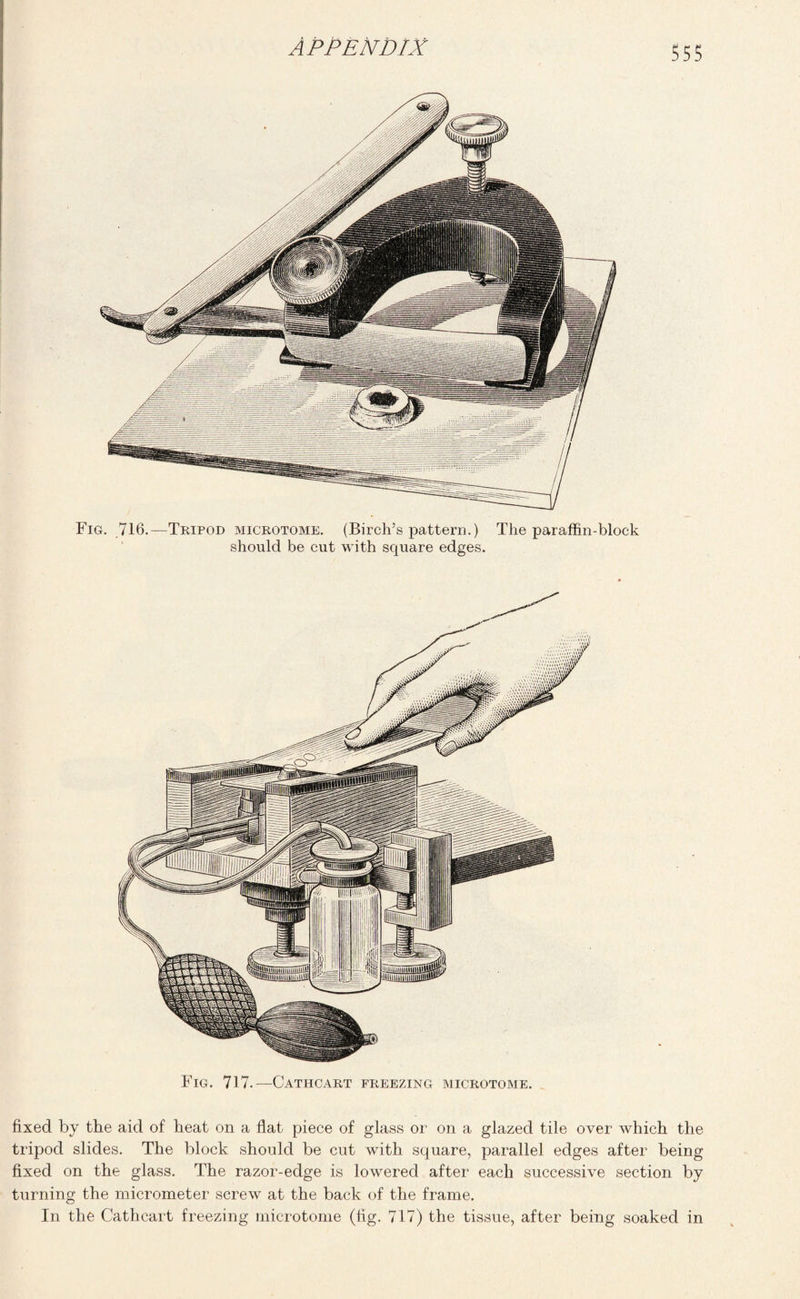 Fig. 716.—Tripod microtome. (Birch’s pattern.) The paraffin-block should be cut with square edges. fixed by the aid of heat on a flat piece of glass or on a glazed tile over which the tripod slides. The block should be cut with square, parallel edges after being fixed on the glass. The razor-edge is lowered after each successive section by turning the micrometer screw at the back of the frame. In the Cathcart freezing microtome (fig. 717) the tissue, after being soaked in