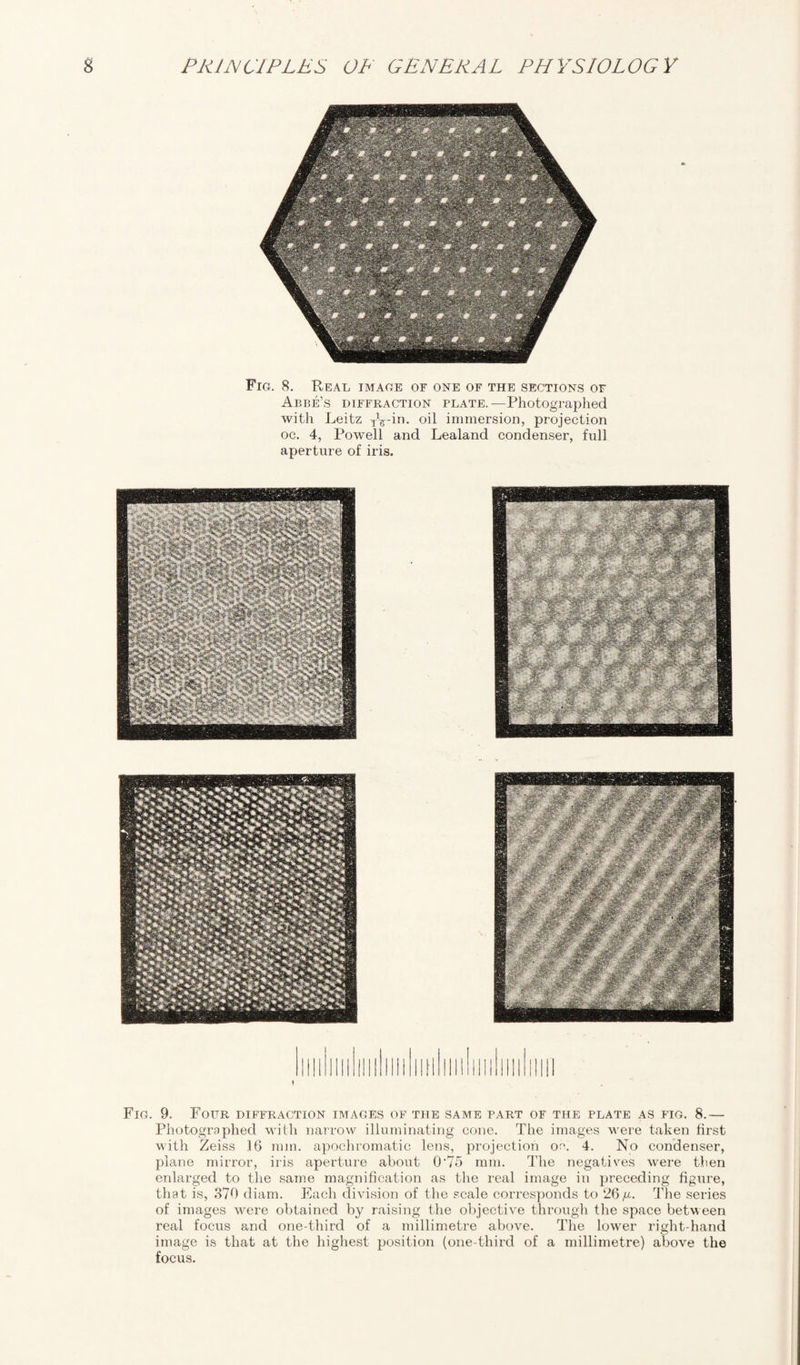 Fig. 8. Real image or one of the sections of Abbe’s diffraction plate.—Photographed with Leitz TVin. oil immersion, projection oc. 4, Powell and Lealand condenser, full aperture of iris. Fig. 9. Four diffraction images of the same part of the plate as fig. 8.— Photographed with narrow illuminating cone. The images were taken first with Zeiss 16 mm. apochromatic lens, projection oe. 4. No condenser, plane mirror, iris aperture about 0'75 mm. The negatives were then enlarged to the same magnification as the real image in preceding figure, that is, 370 diam. Each division of the scale corresponds to 26g. The series of images were obtained by raising the objective through the space between real focus and one-third of a millimetre above. The lower right-hand image is that at the highest position (one-third of a millimetre) above the focus.