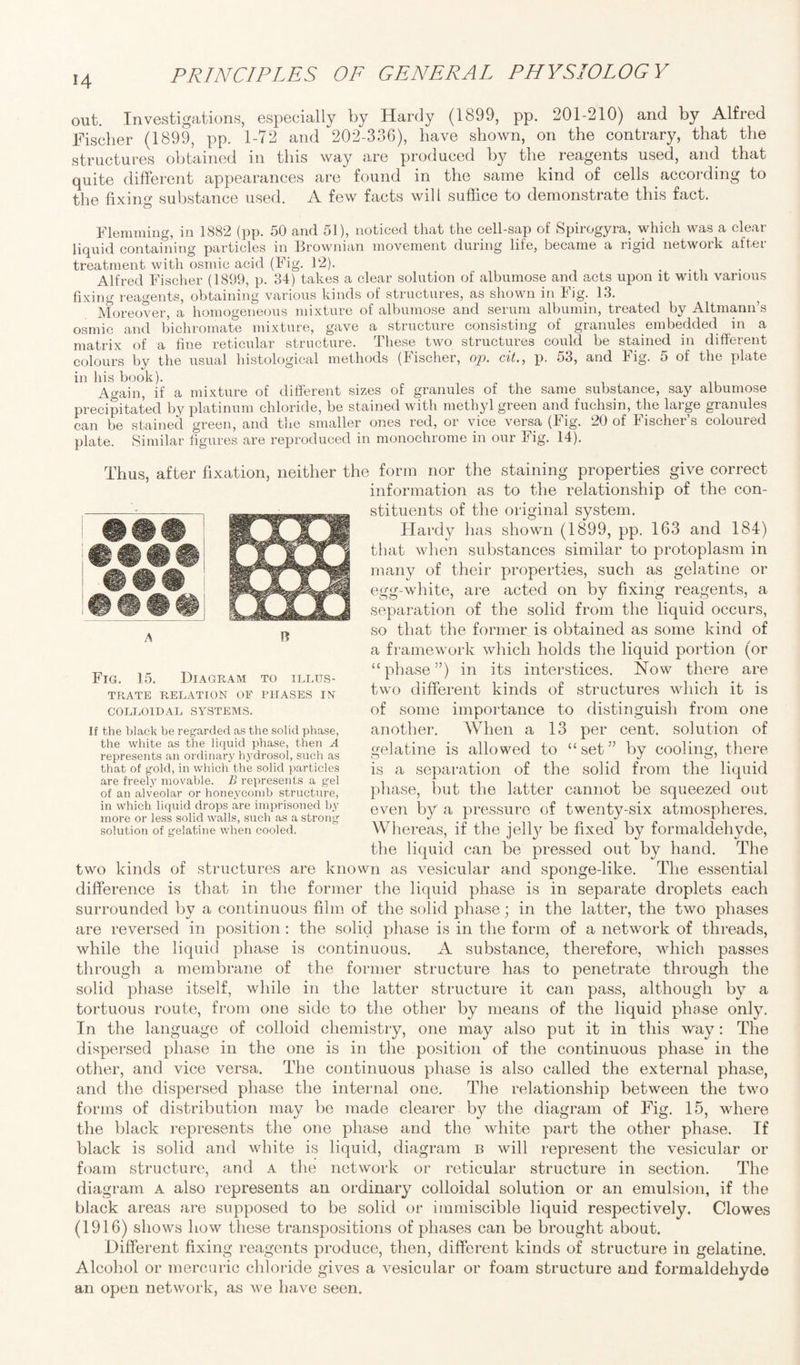 out. Investigations, especially by Hardy (1899, pp. 201-210) and by Alfred Fischer (1899, pp. 1-72 and 202-336), have shown, on the contrary, that the structures obtained in this way are produced by the reagents used, and that quite different appearances are found in the same kind of cells according to the fixing substance used. A few facts will suffice to demonstrate this fact. Flemming, in 1882 (pp. 50 and 51), noticed that the cell-sap of Spirogyra, which was a clear liquid containing particles in Brownian movement during life, became a rigid network after treatment with osmic acid (Fig. 12). Alfred Fischer (1899, p. 34) takes a clear solution of albumose and acts upon it with various fixing reagents, obtaining various kinds of structures, as shown in Fig. 13. Moreover, a homogeneous mixture of albumose and serum albumin, treated by Altmann’s osmic and bichromate mixture, gave a structure consisting of granules embedded in a matrix of a fine reticular structure. These two structures could be stained in different colours by the usual histological methods (Fischer, op. cit., p. 53, and Fig. 5 of the plate in his book). Again, if a mixture of different sizes of granules of the same substance, say albumose precipitated by platinum chloride, be stained with methyl green and fuchsin, the large granules can be stained green, and the smaller ones red, or vice versa (Fig. 20 of Fischer’s coloured plate. Similar figures are reproduced in monochrome in our Fig. 14). Thus, after fixation, neither the form nor the staining properties give correct information as to the relationship of the con¬ stituents of the original system. Hardy has shown (1899, pp. 163 and 184) that when substances similar to protoplasm in many of their properties, such as gelatine or egg-white, are acted on by fixing reagents, a separation of the solid from the liquid occurs, so that the former is obtained as some kind of a framework which holds the liquid portion (or “phase”) in its interstices. Now there are two different kinds of structures which it is of some importance to distinguish from one another. When a 13 per cent, solution of gelatine is allowed to “set” by cooling, there is a separation of the solid from the liquid even by a pressure of twenty-six atmospheres. Whereas, if the jell}'' be fixed by formaldehyde, the liquid can be pressed out by hand. The two kinds of structures are known as vesicular and sponge-like. The essential difference is that in the former the liquid phase is in separate droplets each surrounded by a continuous film of the solid phase; in the latter, the two phases are reversed in position : the solid phase is in the form of a network of threads, while the liquid phase is continuous. A substance, therefore, which passes through a membrane of the former structure has to penetrate through the solid phase itself, while in the latter structure it can pass, although by a tortuous route, from one side to the other by means of the liquid phase only. In the language of colloid chemistry, one may also put it in this way: The dispersed phase in the one is in the position of the continuous phase in the other, and vice versa. The continuous phase is also called the external phase, and the dispersed phase the internal one. The relationship between the two forms of distribution may be made clearer by the diagram of Fig. 15, where the black represents the one phase and the white part the other phase. If black is solid and white is liquid, diagram b will represent the vesicular or foam structure, and a the network or reticular structure in section. The diagram a also represents an ordinary colloidal solution or an emulsion, if the black areas are supposed to be solid or immiscible liquid respectively. Clowes (1916) shows how these transpositions of phases can be brought about. Different fixing reagents produce, then, different kinds of structure in gelatine. Alcohol or mercuric chloride gives a vesicular or foam structure and formaldehyde an open network, as we have seen. phase, but the latter cannot be squeezed out A B Fig. 15. Diagram to illus¬ trate RELATION OF PHASES IN COLLOIDAL SYSTEMS. If the black be regarded as the solid phase, the white as the liquid phase, then A represents an ordinary hydrosol, such as that of gold, in which the solid particles are freely movable. B represents a gel of an alveolar or honeycomb structure, in which liquid drops are imprisoned by more or less solid walls, such as a strong solution of gelatine when cooled.