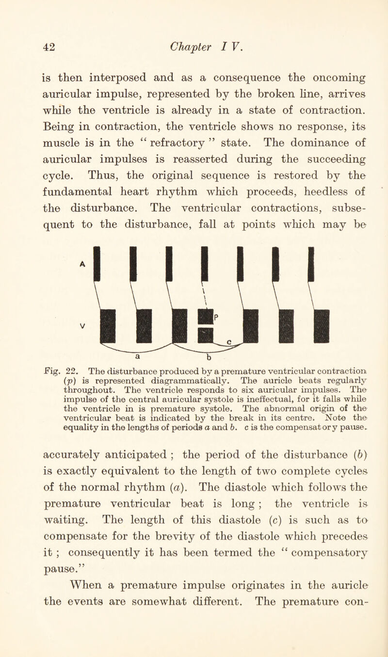 is then interposed and as a consequence the oncoming auricular impulse, represented by the broken line, arrives while the ventricle is already in a state of contraction. Being in contraction, the ventricle shows no response, its muscle is in the ££ refractory ” state. The dominance of auricular impulses is reasserted during the succeeding cycle. Thus, the original sequence is restored by the fundamental heart rhythm which proceeds, heedless of the disturbance. The ventricular contractions, subse¬ quent to the disturbance, fall at points which may be Fig. 22. The disturbance produced by a premature ventricular contraction (p) is represented diagrammatically. The auricle beats regularly throughout. The ventricle responds to six auricular impulses. The impulse of the central auricular systole is ineffectual, for it falls while the ventricle in is premature systole. The abnormal origin of the ventricular beat is indicated by the break in its centre. Note the equality in the lengths of periods a and b. c is the compensatory pause. accurately anticipated ; the period of the disturbance (6) is exactly equivalent to the length of two complete cycles of the normal rhythm (a). The diastole which follows the premature ventricular beat is long ; the ventricle is waiting. The length of this diastole (c) is such as to compensate for the brevity of the diastole which precedes it ; consequently it has been termed the ££ compensatory pause.” When a premature impulse originates in the auricle the events are somewhat different. The premature con-