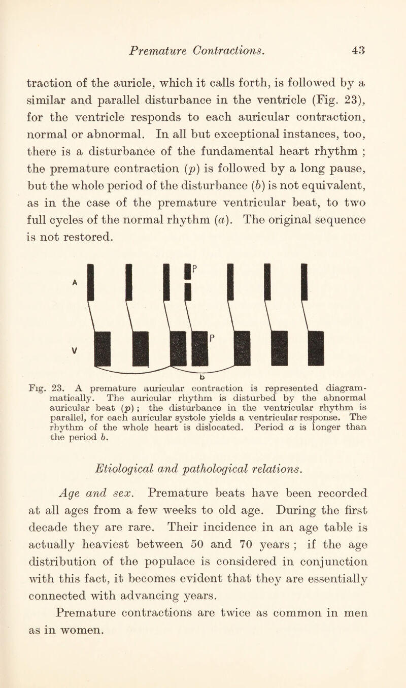 traction of the auricle, which it calls forth, is followed by a similar and parallel disturbance in the ventricle (Fig. 23), for the ventricle responds to each auricular contraction, normal or abnormal. In all but exceptional instances, too, there is a disturbance of the fundamental heart rhythm ; the premature contraction (p) is followed by a long pause, but the whole period of the disturbance (b) is not equivalent, as in the case of the premature ventricular beat, to two full cycles of the normal rhythm (a). The original sequence is not restored. b Fig. 23. A premature auricular contraction is represented diagram¬ matic ally. The auricular rhythm is disturbed by the abnormal auricular beat (p) ; the disturbance in the ventricular rhythm is parallel, for each auricular systole yields a ventricular response. The rhythm of the whole heart is dislocated. Period a is longer than the period b. Etiological and pathological relations. Age and sex. Premature beats have been recorded at all ages from a few weeks to old age. During the first decade they are rare. Their incidence in an age table is actually heaviest between 50 and 70 years ; if the age distribution of the populace is considered in conjunction with this fact, it becomes evident that they are essentially connected with advancing years. Premature contractions are twice as common in men as m women.