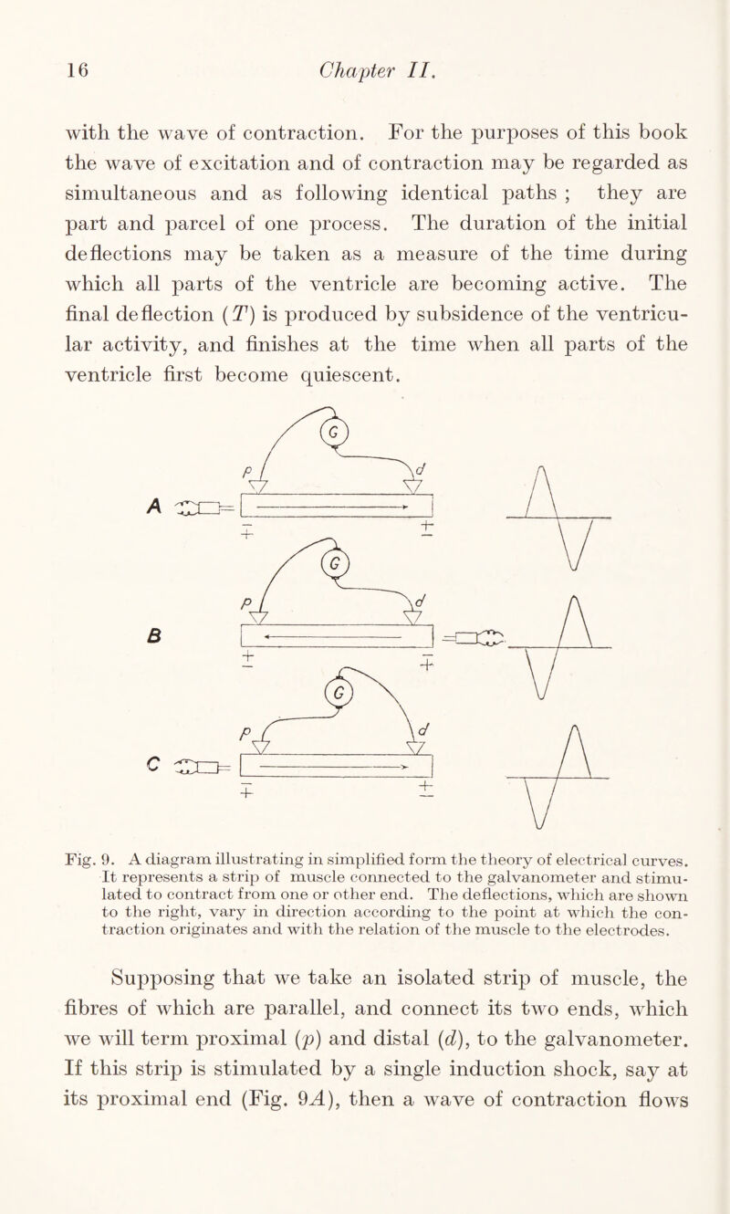 with the wave of contraction. For the purposes of this book the wave of excitation and of contraction may be regarded as simultaneous and as following identical paths ; they are part and parcel of one process. The duration of the initial deflections may be taken as a measure of the time during which all parts of the ventricle are becoming active. The final deflection (T) is produced by subsidence of the ventricu¬ lar activity, and finishes at the time when all parts of the ventricle first become quiescent. Fig. 9. A diagram illustrating in simplified form the theory of electrical curves. It represents a strip of muscle connected to the galvanometer and stimu¬ lated to contract from one or other end. The deflections, which are shown to the right, vary in direction according to the point at which the con¬ traction originates and with the relation of the muscle to the electrodes. Supposing that we take an isolated strip of muscle, the fibres of which are parallel, and connect its two ends, which we will term proximal (p) and distal (d), to the galvanometer. If this strip is stimulated by a single induction shock, say at its proximal end (Fig. 9^4), then a wave of contraction flows