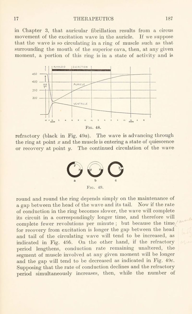 in Chapter 3, that auricular fibrillation results from a circus movement of the excitation wave in the auricle. If we suppose that the wave is so circulating in a ring of muscle such as that surrounding the mouth of the superior cava, then, at any given moment, a portion of this ring is in a state of activity and is Fig. 48. refractory (black in Fig. 49a). The wave is advancing through the ring at point x and the muscle is entering a state of quiescence or recovery at point y. The continued circulation of the wave a b c Fig. 49. round and round the ring depends simply on the maintenance of a gap between the head of the wave and its tail. Now if the rate of conduction in the ring becomes slower, the wave will complete its circuit in a correspondingly longer time, and therefore will complete fewer revolutions per minute ; but because the time for recovery from excitation is longer the gap between the head and tail of the circulating wave will tend to be increased, as indicated in Fig. 496. On the other hand, if the refractory period lengthens, conduction rate remaining unaltered, the segment of muscle involved at any given moment will be longer and the gap will tend to be decreased as indicated in Fig. 49c. Supposing that the rate of conduction declines and the refractory period simultaneously increases, then, while the number of