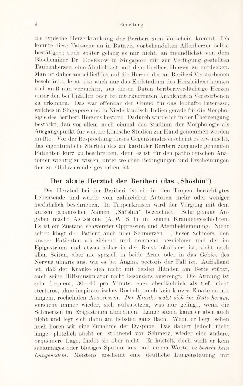 die typische Herzerkrankung der Beriberi zum Vorschein kommt. Ich konnte diese Tatsache an in Batavia vorbehandelten Affenherzen selbst bestätigen; auch später gelang es mir nicht, an freundlichst von dem Biochemiker Dr. Rosenow in Singapore mir zur Verfügung gestellten Taubenherzen eine Ähnlichkeit mit dem Beriberi-Herzen zu entdecken. Man ist daher ausschließlich auf die Herzen der an Beriberi Verstorbenen beschränkt, lernt also auch nur das Endstadium des Herzleidens kennen und muß nun versuchen, aus diesen Daten beriberiverdächtige Herzen unter den bei Unfällen oder bei interkurrenten Krankheiten Verstorbenen zu erkennen. Das war offenbar der Grund für das lebhafte Interesse, welches in Singapore und in Niederländisch-Indien gerade für die Morpho¬ logie des Beriberi-Herzens bestand. Dadurch wurde ich in der Überzeugung bestärkt, daß vor allem noch einmal das Studium der Morphologie als Ausgangspunkt für weitere klinische Studien zur Hand genommen werden mußte. Vor der Besprechung dieses Gegenstandes erscheint es erwünscht, das eigentümliche Sterben des an kardialer Beriberi zugrunde gehenden Patienten kurz zu beschreiben, denn es ist für den pathologischen Ana¬ tomen wichtig zu wissen, unter welchen Bedingungen und Erscheinungen der zu Obduzierende gestorben ist. Der akute Herztod der Beriberi (das „Shoshin”). Der Herztod bei der Beriberi ist ein in den Tropen berüchtigtes Lebensende und wurde von zahlreichen Autoren mehr oder weniger ausführlich beschrieben. In Tropenkreisen wird der Vorgang mit dem kurzen japanischen Namen „Shöshin“ bezeichnet. Sehr genaue An¬ gaben macht Aalsmeer (A. W. S. 1) in seinen Krankengeschichten. Es ist ein Zustand schwerster Oppression und Atembeklemmung. Nicht selten klagt der Patient auch über Schmerzen. ,,Dieser Schmerz, den unsere Patienten als ziehend und brennend bezeichnen und der im Epigastrium und etwas höher in der Brust lokalisiert ist, zieht nach allen Seiten, aber nie speziell in beide Arme oder in das Gebiet des Nervus ulnaris aus, wie es bei Angina pectoris der Fall ist. Auffallend ist, daß der Kranke sich nicht mit beiden Händen am Bette stützt, auch seine Hilfsmuskulatur nicht besonders anstrengt. Die Atmung ist sehr frequent, 30—40 pro Minute, eher oberflächlich als tief, nicht stertorös, ohne inspiratorisches Röcheln, auch kein kurzes Einatmen mit langem, röchelnden Auspressen. Der Kranke wälzt sich im Bette herum, versucht immer wieder, sich aufzusetzen, was nur gelingt, wenn die Schmerzen im Epigastrium abnehmen. Lange sitzen kann er aber auch nicht und legt sich dann am liebsten ganz flach. Wenn er liegt, sehen noch hören wir eine Zunahme der Dyspnoe. Das dauert jedoch nicht lange, plötzlich sucht er, stöhnend vor Schmerz, wieder eine andere, bequemere Lage, findet sie aber nicht. Er hüstelt, doch wirft er kein schaumiges oder blutiges Sputum aus; mit einem Worte, es besteht kein Lungenödem,. Meistens erscheint eine deutliche Lungenstauung mit