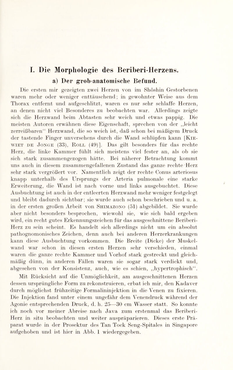 a) Der grob-anatomische Befund. Die ersten mir gezeigten zwei Herzen von im Shöshin Gestorbenen waren mehr oder weniger enttäuschend; in gewohnter Weise aus dem Thorax entfernt und aufgeschlitzt, waren es nur sehr schlaffe Herzen, an denen nicht viel Besonderes zu beobachten war. Allerdings zeigte sich die Herz wand beim Abtasten sehr weich und etwas pappig. Die meisten Autoren erwähnen diese Eigenschaft, sprechen von der ,,leicht zerreißbaren“ Herzwand, die so weich ist, daß schon bei mäßigem Druck der tastende Finger unversehens durch die Wand schlüpfen kann [Kie- wiet de Jonge (33), Roll (49)]. Das gilt besonders für das rechte Herz, die linke Kammer fühlt sich meistens viel fester an, als ob sie sich stark zusammengezogen hätte. Bei näherer Betrachtung kommt uns auch in diesem zusammengefallenen Zustand das ganze rechte 'Herz sehr stark vergrößert vor. Namentlich zeigt der rechte Conus arteriosus knapp unterhalb des Ursprungs der Arteria pulmonale eine starke Erweiterung, die Wand ist nach vorne und links ausgebuchtet. Diese Ausbuchtung ist auch in der entleerten Herzwand mehr weniger festgelegt und bleibt dadurch sichtbar; sie wurde auch schon beschrieben und u. a. in der ersten großen Arbeit von Shimazono (51) abgebildet. Sie wurde aber nicht besonders besprochen, wiewohl sie, wie sich bald ergeben wird, ein recht gutes Erkennungszeichen für das ausgeschnittene Beriberi- Herz zu sein scheint. Es handelt sich allerdings nicht um ein absolut pathognomonisches Zeichen, denn auch bei anderen Herzerkrankungen kann diese Ausbuchtung Vorkommen. Die Breite (Dicke) der Muskel¬ wand war schon in diesen ersten Herzen sehr verschieden, einmal waren die ganze rechte Kammer und Vorhof stark gestreckt und gleich¬ mäßig dünn, in anderen Fällen waren sie sogar stark verdickt und, abgesehen von der Konsistenz, auch, wie es schien, ,,hypertrophisch“. Mit Rücksicht auf die Unmöglichkeit, am ausgeschnittenen Herzen dessen ursprüngliche Form zu rekonstruieren, erbat ich mir, den Kadaver durch möglichst frühzeitige Formalininjektion in die Venen zu fixieren. Die Injektion fand unter einem ungefähr dem Venendruck während der Agonie entsprechenden Druck, d. h. 25—30 cm Wasser statt. So konnte ich noch vor meiner Abreise nach Java zum erstenmal das Beriberi- Herz in situ beobachten und weiter auspräparieren. Dieses erste Prä¬ parat wurde in der Prosektur des Tan Tock Seng-Spitales in Singapore aufgehoben und ist hier in Abb. 1 wiedergegeben.