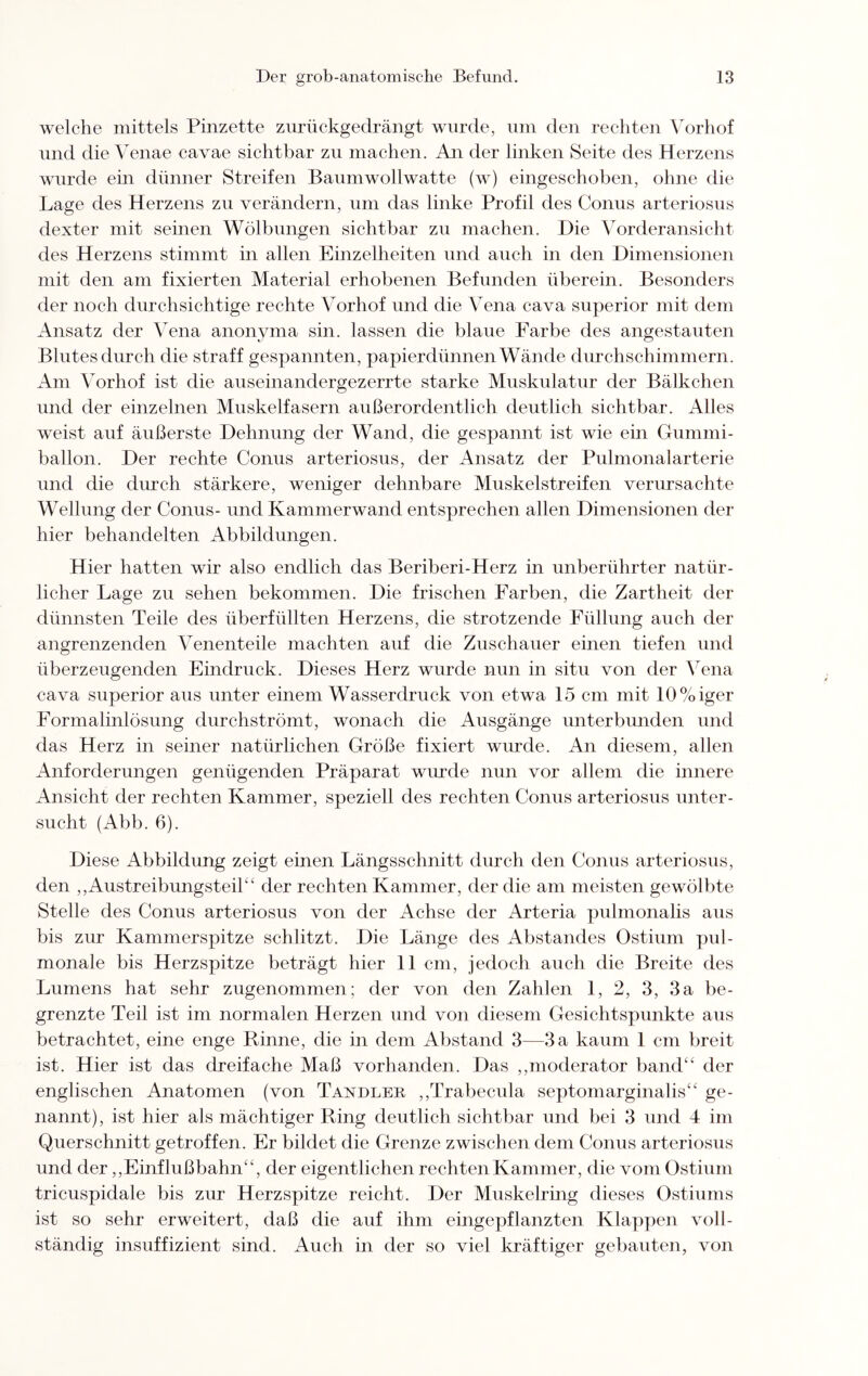 welche mittels Pinzette zurückgedrängt wurde, um den rechten Vorhof und die Venae cavae sichtbar zu machen. An der linken Seite des Herzens wurde ein dünner Streifen Baumwollwatte (w) eingeschoben, ohne die Lage des Herzens zu verändern, um das linke Profil des Conus arteriosus dexter mit seinen Wölbungen sichtbar zu machen. Die Vorderansicht des Herzens stimmt in allen Einzelheiten und auch in den Dimensionen mit den am fixierten Material erhobenen Befunden überein. Besonders der noch durchsichtige rechte Vorhof und die Vena cava superior mit dem Ansatz der Vena anonym a sin. lassen die blaue Farbe des angestauten Blutes durch die straff gespannten, papierdünnen Wände durchschimmern. Am Vorhof ist die auseinandergezerrte starke Muskulatur der Bälkchen und der einzelnen Muskelfasern außerordentlich deutlich sichtbar. Alles weist auf äußerste Dehnung der Wand, die gespannt ist wie ein Gummi¬ ballon. Der rechte Conus arteriosus, der Ansatz der Pulmonalarterie und die durch stärkere, weniger dehnbare Muskelstreifen verursachte Wellung der Conus- und Kammerwand entsprechen allen Dimensionen der hier behandelten Abbildungen. Hier hatten wir also endlich das Beriberi-Herz in unberührter natür¬ licher Lage zu sehen bekommen. Die frischen Farben, die Zartheit der dünnsten Teile des überfüllten Herzens, die strotzende Füllung auch der angrenzenden Venenteile machten auf die Zuschauer einen tiefen und überzeugenden Eindruck. Dieses Herz wurde nun in situ von der Vena cava superior aus unter einem Wasserdruck von etwa 15 cm mit 10%iger Formalinlösung durchströmt, wonach die Ausgänge unterbunden und das Herz in seiner natürlichen Größe fixiert wurde. An diesem, allen Anforderungen genügenden Präparat wurde nun vor allem die innere Ansicht der rechten Kammer, speziell des rechten Conus arteriosus unter¬ sucht (Abb. 6). Diese Abbildung zeigt einen Längsschnitt durch den Conus arteriosus, den ,,Austreibungsteil“ der rechten Kammer, der die am meisten gewölbte Stelle des Conus arteriosus von der Achse der Arteria pulmonalis aus bis zur Kammerspitze schlitzt. Die Länge des Abstandes Ostium pul¬ monale bis Herzspitze beträgt hier 11 cm, jedoch auch die Breite des Lumens hat sehr zugenommen; der von den Zahlen 1, 2, 3, 3a be¬ grenzte Teil ist im normalen Herzen und von diesem Gesichtspunkte aus betrachtet, eine enge Rinne, die in dem Abstand 3—3 a kaum 1 cm breit ist. Hier ist das dreifache Maß vorhanden. Das ,,moderator band“ der englischen Anatomen (von Tandler ,,Trabecula septomarginalis“ ge¬ nannt), ist hier als mächtiger Ring deutlich sichtbar und bei 3 und 4 im Querschnitt getroffen. Er bildet die Grenze zwischen dem Conus arteriosus und der,,Einflußbahn“, der eigentlichen rechten Kammer, die vom Ostium tricuspidale bis zur Herzspitze reicht. Der Muskelring dieses Ostiums ist so sehr erweitert, daß die auf ihm eingepflanzten Klappen voll¬ ständig insuffizient sind. Auch in der so viel kräftiger gebauten, von