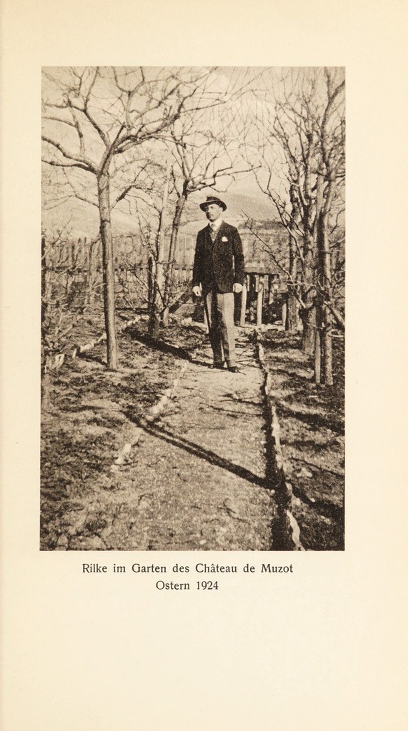 link to next page