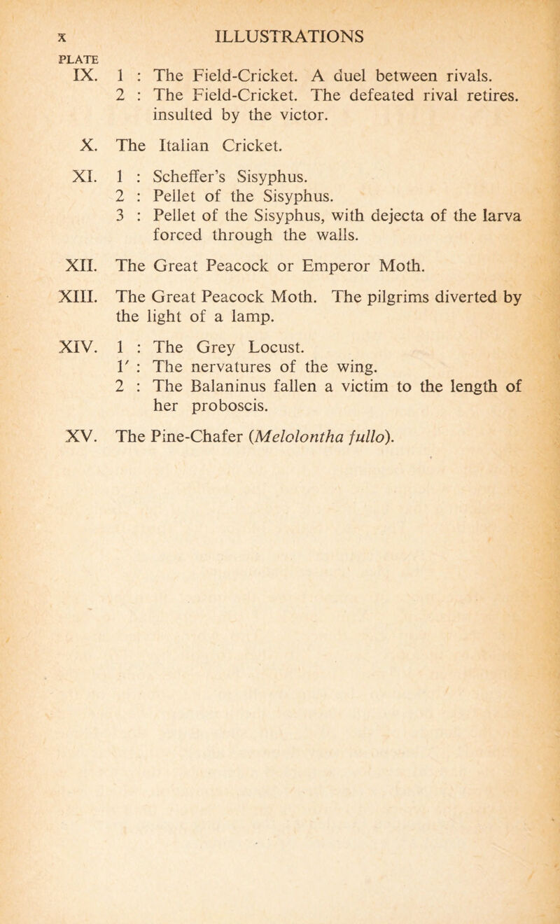 PLATE IX. 1 : The Field-Cricket. A duel between rivals. 2 : The Field-Cricket. The defeated rival retires, insulted by the victor. X. The Italian Cricket. XI. 1 : Scheffer’s Sisyphus. 2 : Pellet of the Sisyphus. 3 : Pellet of the Sisyphus, with dejecta of the larva forced through the walls. XII. The Great Peacock or Emperor Moth. XIII. The Great Peacock Moth. The pilgrims diverted by the light of a lamp. XIV. 1 : The Grey Locust. V : The nervatures of the wing. 2 : The Balaninus fallen a victim to the length of her proboscis. XV. The Pine-Chafer (Melolontha fullo).