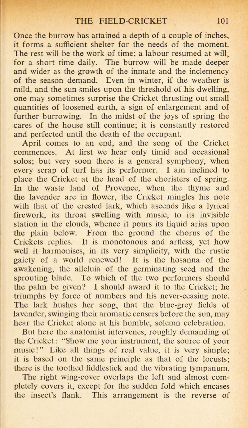 Once the burrow has attained a depth of a couple of inches, it forms a sufficient shelter for the needs of the moment. The rest will be the work of time; a labour resumed at will, for a short time daily. The burrow will be made deeper and wider as the growth of the inmate and the inclemency of the season demand. Even in winter, if the weather is mild, and the sun smiles upon the threshold of his dwelling, one may sometimes surprise the Cricket thrusting out small quantities of loosened earth, a sign of enlargement and of further burrowing. In the midst of the joys of spring the cares of the house still continue; it is constantly restored and perfected until the death of the occupant. April comes to an end, and the song of the Cricket commences. At first we hear only timid and occasional solos; but very soon there is a general symphony, when every scrap of turf has its performer. I am inclined to place the Cricket at the head of the choristers of spring. In the waste land of Provence, when the thyme and the lavender are in flower, the Cricket mingles his note with that of the crested lark, which ascends like a lyrical firework, its throat swelling with music, to its invisible station in the clouds, whence it pours its liquid arias upon the plain below. From the ground the chorus of the Crickets replies. It is monotonous and artless, yet how well it harmonises, in its very simplicity, with the rustic gaiety of a world renewed! It is the hosanna of the awakening, the alleluia of the germinating seed and the sprouting blade. To which of the two performers should the palm be given? I should award it to the Cricket; he triumphs by force of numbers and his never-ceasing note. The lark hushes her song, that the blue-grey fields of lavender, swinging their aromatic censers before the sun, may hear the Cricket alone at his humble, solemn celebration. But here the anatomist intervenes, roughly demanding of the Cricket : “Show me your instrument, the source of your music!” Like all things of real value, it is very simple; it is based on the same principle as that of the locusts; there is the toothed fiddlestick and the vibrating tympanum. The right wing-cover overlaps the left and almost com¬ pletely covers it, except for the sudden fold which encases the insect’s flank. This arrangement is the reverse of