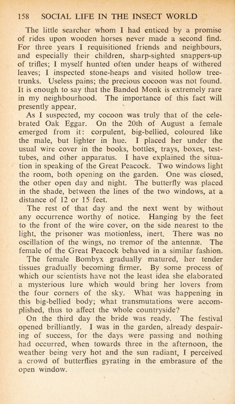 The little searcher whom I had enticed by a promise of rides upon wooden horses never made a second find. For three years I requisitioned friends and neighbours, and especially their children, sharp-sighted snappers-up of trifles; I myself hunted often under heaps of withered leaves; I inspected stone-heaps and visited hollow tree- trunks. Useless pains; the precious cocoon was not found. It is enough to say that the Banded Monk is extremely rare in my neighbourhood. The importance of this fact will presently appear. As I suspected, my cocoon was truly that of the cele¬ brated Oak Eggar. On the 20th of August a female emerged from it: corpulent, big-bellied, coloured like the male, but lighter in hue. I placed her under the usual wire cover in the books, bottles, trays, boxes, test- tubes, and other apparatus. I have explained the situa¬ tion in speaking of the Great Peacock. Two windows light the room, both opening on the garden. One was closed, the other open day and night. The butterfly was placed in the shade, between the lines of the two windows, at a distance of 12 or 15 feet. The rest of that day and the next went by without any occurrence worthy of notice. Hanging by the feet to the front of the wire cover, on the side nearest to the light, the prisoner was motionless, inert. There was no oscillation of the wings, no tremor of the antennae. The female of the Great Peacock behaved in a similar fashion. The female Bombyx gradually matured, her tender tissues gradually becoming firmer. By some process of which our scientists have not the least idea she elaborated a mysterious lure which would bring her lovers from the four corners of the sky. What was happening in this big-bellied body; what transmutations were accom¬ plished, thus to affect the whole countryside? On the third day the bride was ready. The festival opened brilliantly. I was in the garden, already despair¬ ing of success, for the days were passing and nothing had occurred, when towards three in the afternoon, the weather being very hot and the sun radiant, I perceived a crowd of butterflies gyrating in the embrasure of the open window.