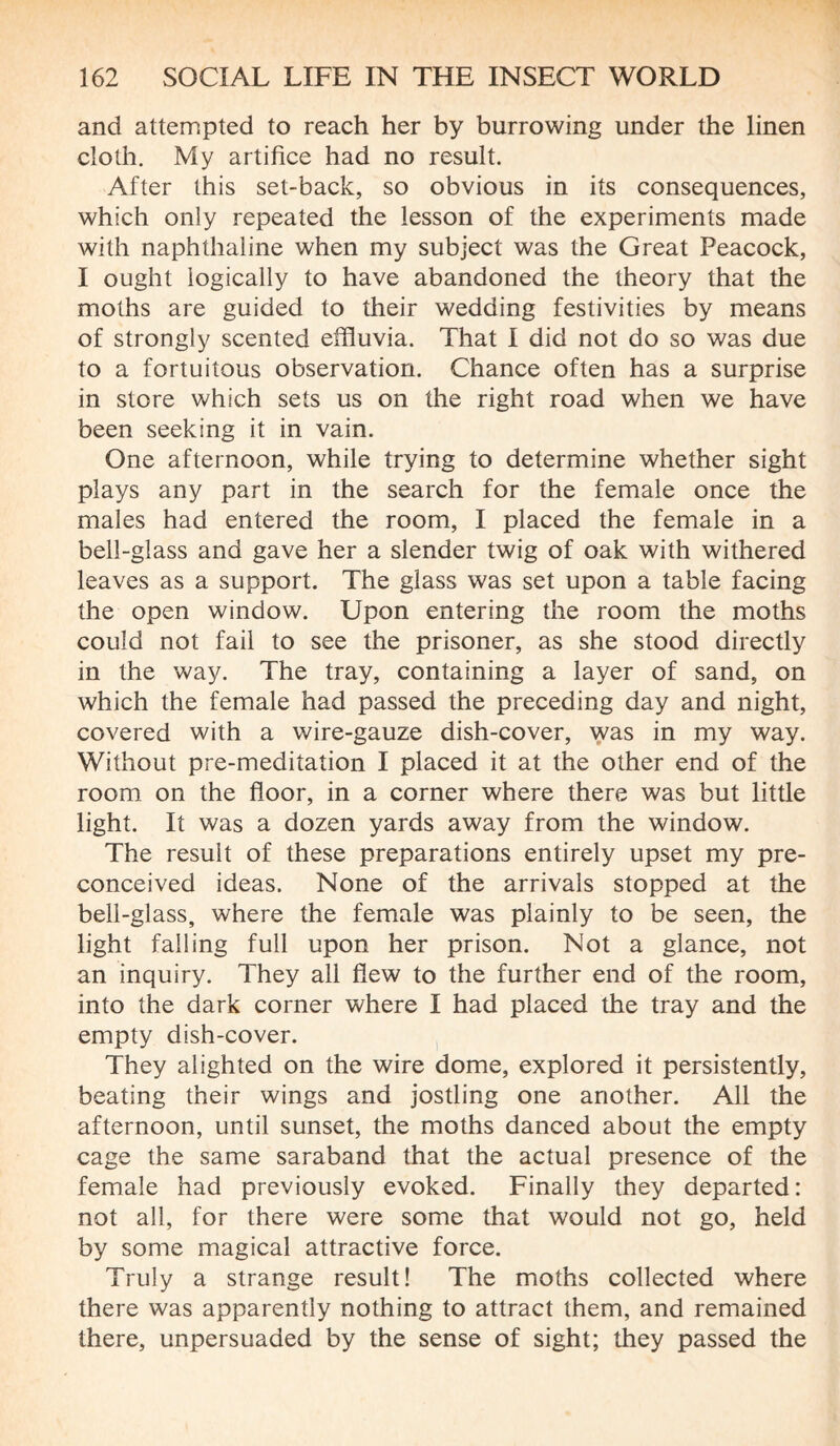 and attempted to reach her by burrowing under the linen cloth. My artifice had no result. After this set-back, so obvious in its consequences, which only repeated the lesson of the experiments made with naphthaline when my subject was the Great Peacock, I ought logically to have abandoned the theory that the moths are guided to their wedding festivities by means of strongly scented effluvia. That I did not do so was due to a fortuitous observation. Chance often has a surprise in store which sets us on the right road when we have been seeking it in vain. One afternoon, while trying to determine whether sight plays any part in the search for the female once the males had entered the room, I placed the female in a bell-glass and gave her a slender twig of oak with withered leaves as a support. The glass was set upon a table facing the open window. Upon entering the room the moths could not fail to see the prisoner, as she stood directly in the way. The tray, containing a layer of sand, on which the female had passed the preceding day and night, covered with a wire-gauze dish-cover, was in my way. Without pre-meditation I placed it at the other end of the room on the floor, in a corner where there was but little light. It was a dozen yards away from the window. The result of these preparations entirely upset my pre¬ conceived ideas. None of the arrivals stopped at the bell-glass, where the female was plainly to be seen, the light falling full upon her prison. Not a glance, not an inquiry. They all flew to the further end of the room, into the dark corner where I had placed the tray and the empty dish-cover. They alighted on the wire dome, explored it persistently, beating their wings and jostling one another. All the afternoon, until sunset, the moths danced about the empty cage the same saraband that the actual presence of the female had previously evoked. Finally they departed: not all, for there were some that would not go, held by some magical attractive force. Truly a strange result! The moths collected where there was apparently nothing to attract them, and remained there, unpersuaded by the sense of sight; they passed the