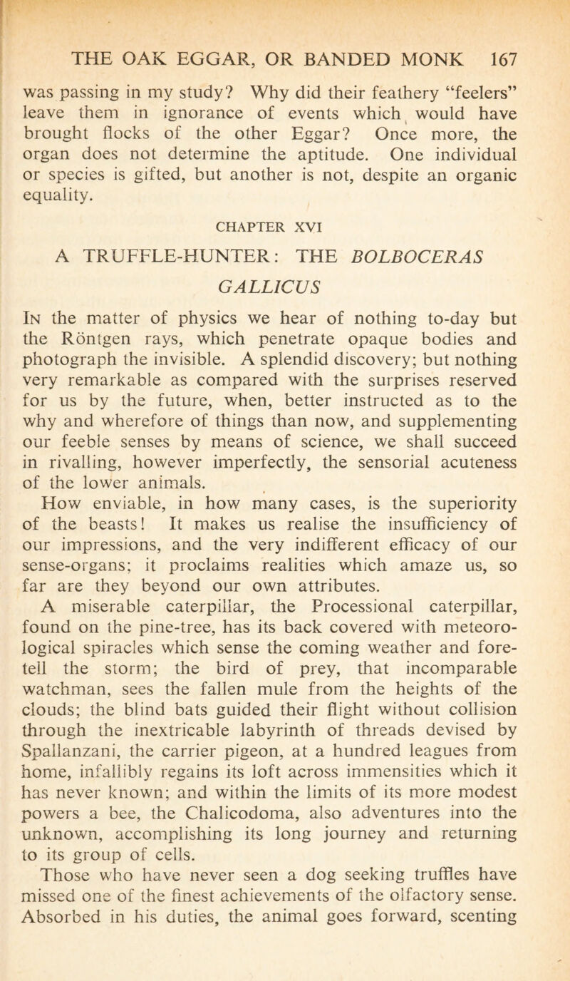 was passing in my study? Why did their feathery “feelers” leave them in ignorance of events which would have brought flocks of the other Eggar? Once more, the organ does not determine the aptitude. One individual or species is gifted, but another is not, despite an organic equality. CHAPTER XVI A TRUFFLE-HUNTER: THE BOLBOCERAS GALLICUS In the matter of physics we hear of nothing to-day but the Rôntgen rays, which penetrate opaque bodies and photograph the invisible. A splendid discovery; but nothing very remarkable as compared with the surprises reserved for us by the future, when, better instructed as to the why and wherefore of things than now, and supplementing our feeble senses by means of science, we shall succeed in rivalling, however imperfectly, the sensorial acuteness of the lower animals. How enviable, in how many cases, is the superiority of the beasts! It makes us realise the insufficiency of our impressions, and the very indifferent efficacy of our sense-organs; it proclaims realities which amaze us, so far are they beyond our own attributes. A miserable caterpillar, the Processional caterpillar, found on the pine-tree, has its back covered with meteoro¬ logical spiracles which sense the coming weather and fore¬ tell the storm; the bird of prey, that incomparable watchman, sees the fallen mule from the heights of the clouds; the blind bats guided their flight without collision through the inextricable labyrinth of threads devised by Spallanzani, the carrier pigeon, at a hundred leagues from home, infallibly regains its loft across immensities which it has never known; and within the limits of its more modest powers a bee, the Chalicodoma, also adventures into the unknown, accomplishing its long journey and returning to its group of cells. Those who have never seen a dog seeking truffles have missed one of the finest achievements of the olfactory sense. Absorbed in his duties, the animal goes forward, scenting