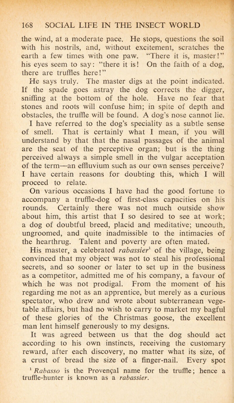 the wind, at a moderate pace. He stops, questions the soil with his nostrils, and, without excitement, scratches the earth a few times with one paw. “There it is, master!” his eyes seem to say: “there it is! On the faith of a dog, there are truffles here!” He says truly. The master digs at the point indicated. If the spade goes astray the dog corrects the digger, sniffing at the bottom of the hole. Have no fear that stones and roots will confuse him; in spite of depth and obstacles, the truffle will be found. A dog’s nose cannot lie. I have referred to the dog’s speciality as a subtle sense of smell. That is certainly what I mean, if you will understand by that that the nasal passages of the animal are the seat of the perceptive organ; but is the thing perceived always a simple smell in the vulgar acceptation of the term—an effluvium such as our own senses perceive? I have certain reasons for doubting this, which I will proceed to relate. On various occasions I have had the good fortune to accompany a truffle-dog of first-class capacities on his rounds. Certainly there was not much outside show about him, this artist that I so desired to see at work; a dog of doubtful breed, placid and meditative; uncouth, ungroomed, and quite inadmissible to the intimacies of the hearthrug. Talent and poverty are often mated. His master, a celebrated rabassier1 of the village, being convinced that my object was not to steal his professional secrets, and so sooner or later to set up in the business as a competitor, admitted me of his company, a favour of which he was not prodigal. From the moment of his regarding me not as an apprentice, but merely as a curious spectator, who drew and wrote about subterranean vege¬ table affairs, but had no wish to carry to market my bagful of these glories of the Christmas goose, the excellent man lent himself generously to my designs. It was agreed between us that the dog should act according to his own instincts, receiving the customary reward, after each discovery, no matter what its size, of a crust of bread the size of a finger-nail. Every spot 1 Rabasso is the Provençal name for the truffle; hence a truffle-hunter is known as a rabassier.