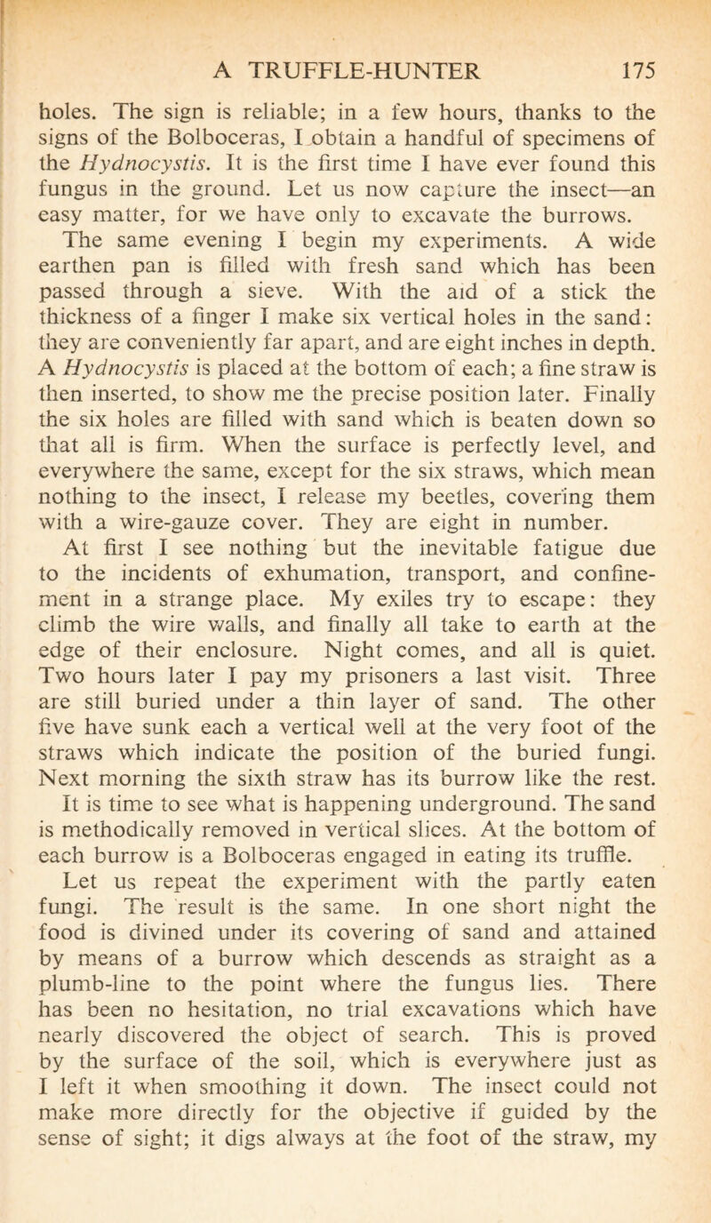holes. The sign is reliable; in a few hours, thanks to the signs of the Bolboceras, Fobtain a handful of specimens of the Hydnocystis. It is the first time I have ever found this fungus in the ground. Let us now capture the insect—an easy matter, for we have only to excavate the burrows. The same evening I begin my experiments. A wide earthen pan is filled with fresh sand which has been passed through a sieve. With the aid of a stick the thickness of a finger I make six vertical holes in the sand: they are conveniently far apart, and are eight inches in depth. A Hydnocystis is placed at the bottom of each; a fine straw is then inserted, to show me the precise position later. Finally the six holes are filled with sand which is beaten down so that all is firm. When the surface is perfectly level, and everywhere the same, except for the six straws, which mean nothing to the insect, I release my beetles, covering them with a wire-gauze cover. They are eight in number. At first I see nothing but the inevitable fatigue due to the incidents of exhumation, transport, and confine¬ ment in a strange place. My exiles try to escape: they climb the wire walls, and finally all take to earth at the edge of their enclosure. Night comes, and all is quiet. Two hours later I pay my prisoners a last visit. Three are still buried under a thin layer of sand. The other five have sunk each a vertical well at the very foot of the straws which indicate the position of the buried fungi. Next morning the sixth straw has its burrow like the rest. It is time to see what is happening underground. The sand is methodically removed in vertical slices. At the bottom of each burrow is a Bolboceras engaged in eating its truffle. Let us repeat the experiment with the partly eaten fungi. The result is the same. In one short night the food is divined under its covering of sand and attained by means of a burrow which descends as straight as a plumb-line to the point where the fungus lies. There has been no hesitation, no trial excavations which have nearly discovered the object of search. This is proved by the surface of the soil, which is everywhere just as I left it when smoothing it down. The insect could not make more directly for the objective if guided by the sense of sight; it digs always at the foot of the straw, my