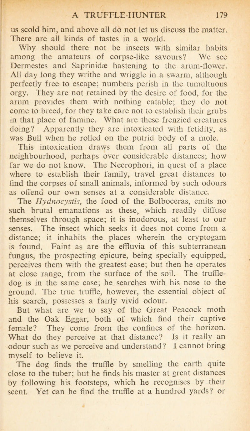 us scold him, and above all do not let us discuss the matter. There are all kinds of tastes in a world. Why should there not be insects with similar habits among the amateurs of corpse-like savours? We see Dermestes and Saprinidæ hastening to the arum-flower. All day long they writhe and wriggle in a swarm, although perfectly free to escape; numbers perish in the tumultuous orgy. They are not retained by the desire of food, for the arum provides them with nothing eatable; they do not come to breed, for they take care not to establish their grubs in that place of famine. What are these frenzied creatures doing? Apparently they are intoxicated with fetidity, as was Bull when he rolled on the putrid body of a mole. This intoxication draws them from all parts of the neighbourhood, perhaps over considerable distances; how far we do not know. The Necrophori, in quest of a place where to establish their family, travel great distances to find the corpses of small animals, informed by such odours as offend our own senses at a considerable distance. The Hydnocystis, the food of the Bolboceras, emits no such brutal emanations as these, which readily diffuse themselves through space; it is inodorous, at least to our senses. The insect which seeks it does not come from a distance; it inhabits the places wherein the cryptogam is found. Faint as are the effluvia of this subterranean fungus, the prospecting epicure, being specially equipped, perceives them with the greatest ease; but then he operates at close range, from the surface of the soil. The truffle- dog is in the same case; he searches with his nose to the ground. The true truffle, however, the essential object of his search, possesses a fairly vivid odour. But what are we to say of the Great Peacock moth and the Oak Eggar, both of which find their captive female? They come from the confines of the horizon. What do they perceive at that distance? Is it really an odour such as we perceive and understand? I cannot bring myself to believe it. The dog finds the truffle by smelling the earth quite close to the tuber; but he finds his master at great distances by following his footsteps, which he recognises by their scent. Yet can he find the truffle at a hundred yards? or