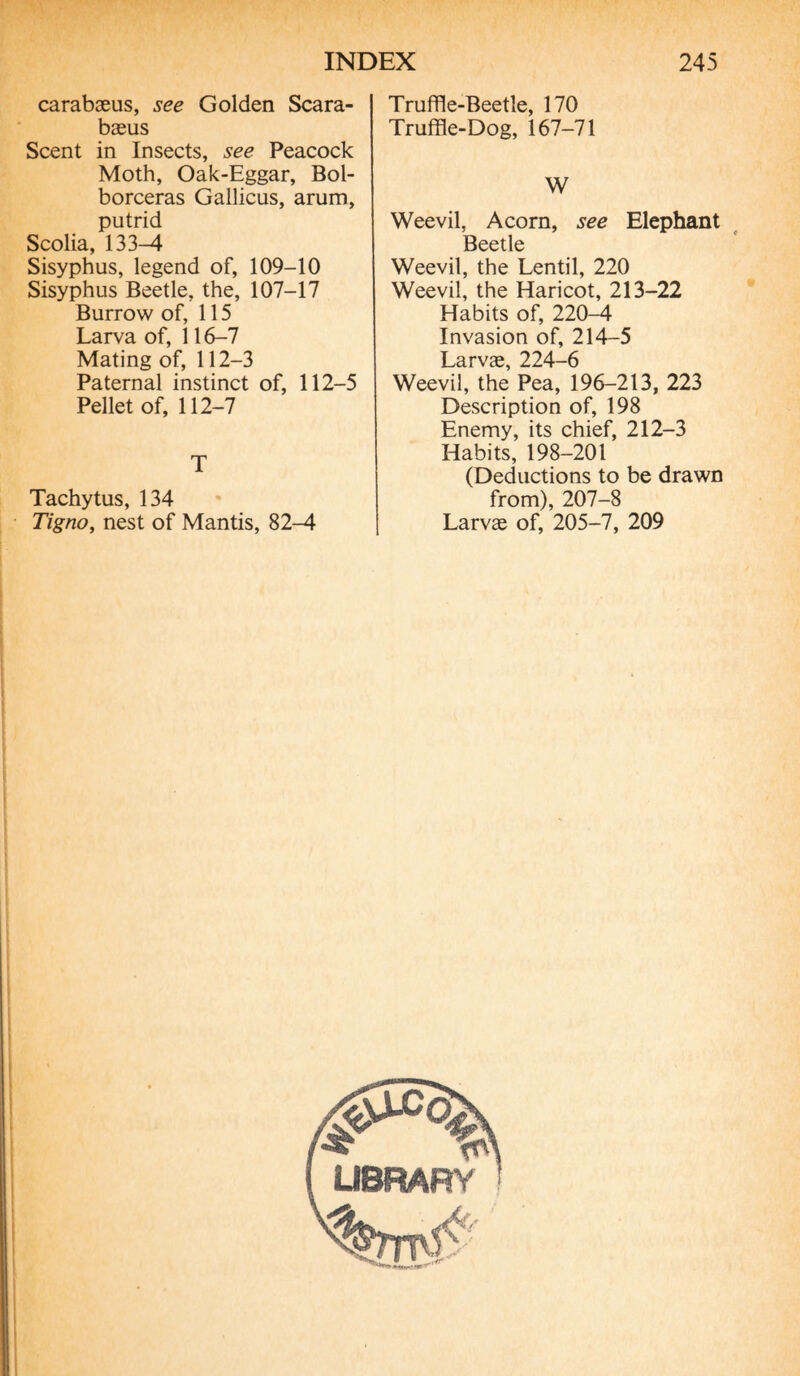 carabæus, see Golden Scara- bæus Scent in Insects, see Peacock Moth, Oak-Eggar, Bol- borceras Gallicus, arum, putrid Scolia, 133-4 Sisyphus, legend of, 109-10 Sisyphus Beetle, the, 107-17 Burrow of, 115 Larva of, 116-7 Mating of, 112-3 Paternal instinct of, 112-5 Pellet of, 112-7 T Tachytus, 134 Tigno, nest of Mantis, 82-4 Truffle-Beetle, 170 Truffle-Dog, 167-71 W Weevil, Acorn, see Elephant Beetle Weevil, the Lentil, 220 Weevil, the Haricot, 213-22 Habits of, 220-4 Invasion of, 214-5 Larvæ, 224-6 Weevil, the Pea, 196-213, 223 Description of, 198 Enemy, its chief, 212-3 Habits, 198-201 (Deductions to be drawn from), 207-8 Larvæ of, 205-7, 209 LIBRARY