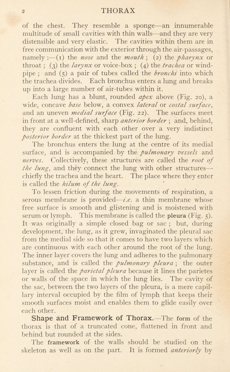 of the chest. They resemble a sponge—an innumerable multitude of small cavities with thin walls—and they are very distensible and very elastic. The cavities within them are in free communication with the exterior through the air-passages, namely :—(i) the nose and the mouth ; (2) the pharynx or throat ; (3) the larynx or voice-box ; (4) the trachea or wind¬ pipe ; and (5) a pair of tubes called the bronchi into which the trachea divides. Each bronchus enters a lung and breaks up into a large number of air-tubes within it. Each lung has a blunt, rounded apex above (Fig. 20), a wide, concave base below, a convex lateral or costal surface, and an uneven medial surface (Fig. 22). The surfaces meet in front at a well-defined, sharp anterior border ; and, behind, they are confluent with each other over a very indistinct posterior border at the thickest part of the lung. The bronchus enters the lung at the centre of its medial surface, and is accompanied by the pulmonary vessels and nerves. Collectively, these structures are called the root of the lung, and they connect the lung with other structures— chiefly the trachea and the heart. The place where they enter is called the hilum of the lung. To lessen friction during the movements of respiration, a serous membrane is provided—i.e. a thin membrane whose free surface is smooth and glistening and is moistened with serum or lymph. This membrane is called the pleura (Fig. 5). It was originally a simple closed bag or sac ; but, during development; the lung, as it grew, invaginated the pleural sac from the medial side so that it comes to have two layers which are continuous with each other around the root of the lung. The inner layer covers the lung and adheres to the pulmonary substance, and is called the pulmonary pleura ; the outer layer is called the parietal pleura because it lines the parietes or walls of the space in which the lung lies. The cavity of the sac, between the two layers of the pleura, is a mere capil¬ lary interval occupied by the film of lymph that keeps their smooth surfaces moist and enables them to glide easily over each other. Shape and Framework of Thorax.—The form of the thorax is that of a truncated cone, flattened in front and behind but rounded at the sides. The framework of the walls should be studied on the skeleton as well as on the part. It is formed a7iteriorly by