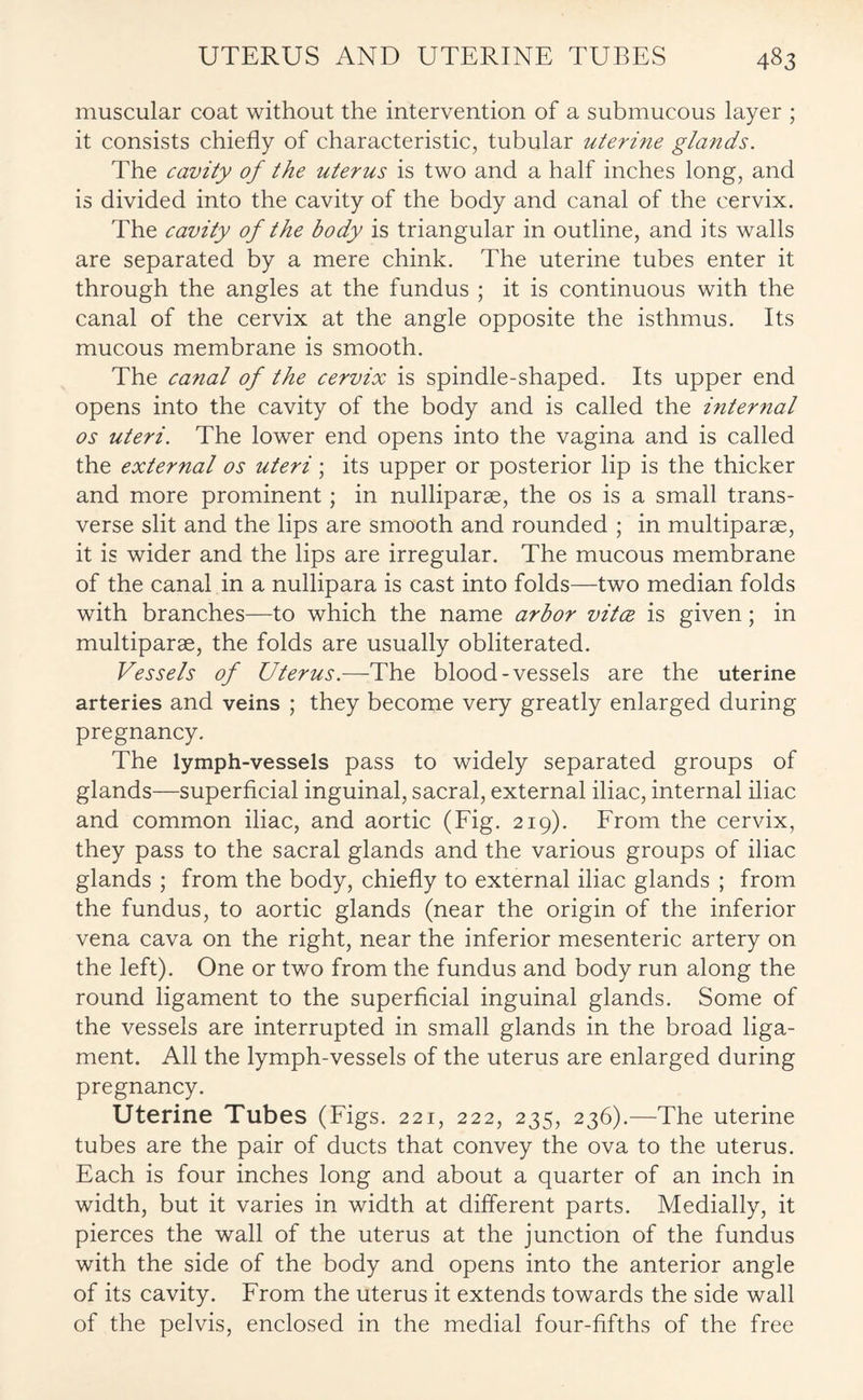 muscular coat without the intervention of a submucous layer ; it consists chiefly of characteristic, tubular uterine glands. The cavity of the uterus is two and a half inches long, and is divided into the cavity of the body and canal of the cervix. The cavity of the body is triangular in outline, and its walls are separated by a mere chink. The uterine tubes enter it through the angles at the fundus ; it is continuous with the canal of the cervix at the angle opposite the isthmus. Its mucous membrane is smooth. The canal of the cervix is spindle-shaped. Its upper end opens into the cavity of the body and is called the internal os uteri. The lower end opens into the vagina and is called the external os uteri; its upper or posterior lip is the thicker and more prominent; in nulliparae, the os is a small trans¬ verse slit and the lips are smooth and rounded ; in multiparae, it is wider and the lips are irregular. The mucous membrane of the canal in a nullipara is cast into folds—two median folds with branches—to which the name arbor vitce is given; in multiparae, the folds are usually obliterated. Vessels of Uterus.—The blood-vessels are the uterine arteries and veins ; they become very greatly enlarged during pregnancy. The lymph-vessels pass to widely separated groups of glands—superficial inguinal, sacral, external iliac, internal iliac and common iliac, and aortic (Fig. 219). From the cervix, they pass to the sacral glands and the various groups of iliac glands ; from the body, chiefly to external iliac glands ; from the fundus, to aortic glands (near the origin of the inferior vena cava on the right, near the inferior mesenteric artery on the left). One or two from the fundus and body run along the round ligament to the superficial inguinal glands. Some of the vessels are interrupted in small glands in the broad liga¬ ment. All the lymph-vessels of the uterus are enlarged during pregnancy. Uterine Tubes (Figs. 221, 222, 235, 236).—The uterine tubes are the pair of ducts that convey the ova to the uterus. Each is four inches long and about a quarter of an inch in width, but it varies in width at different parts. Medially, it pierces the wall of the uterus at the junction of the fundus with the side of the body and opens into the anterior angle of its cavity. From the uterus it extends towards the side wall of the pelvis, enclosed in the medial four-fifths of the free